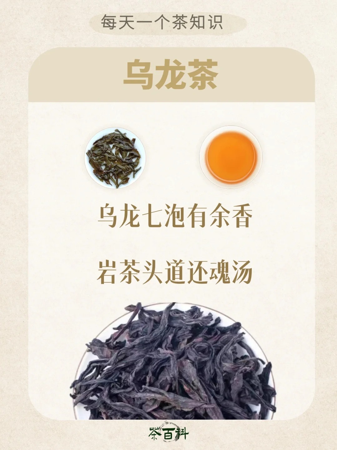 茶叶能泡多少次❓记住这几个顺口溜㊙️配图1