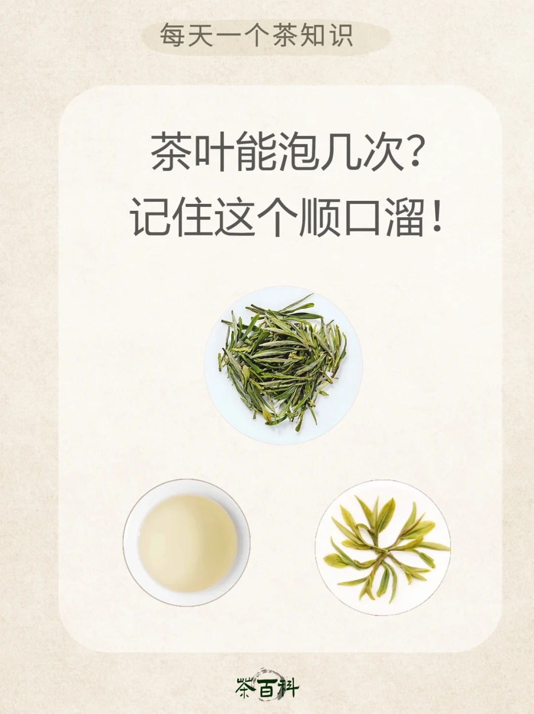 茶叶能泡多少次❓记住这几个顺口溜㊙️配图5