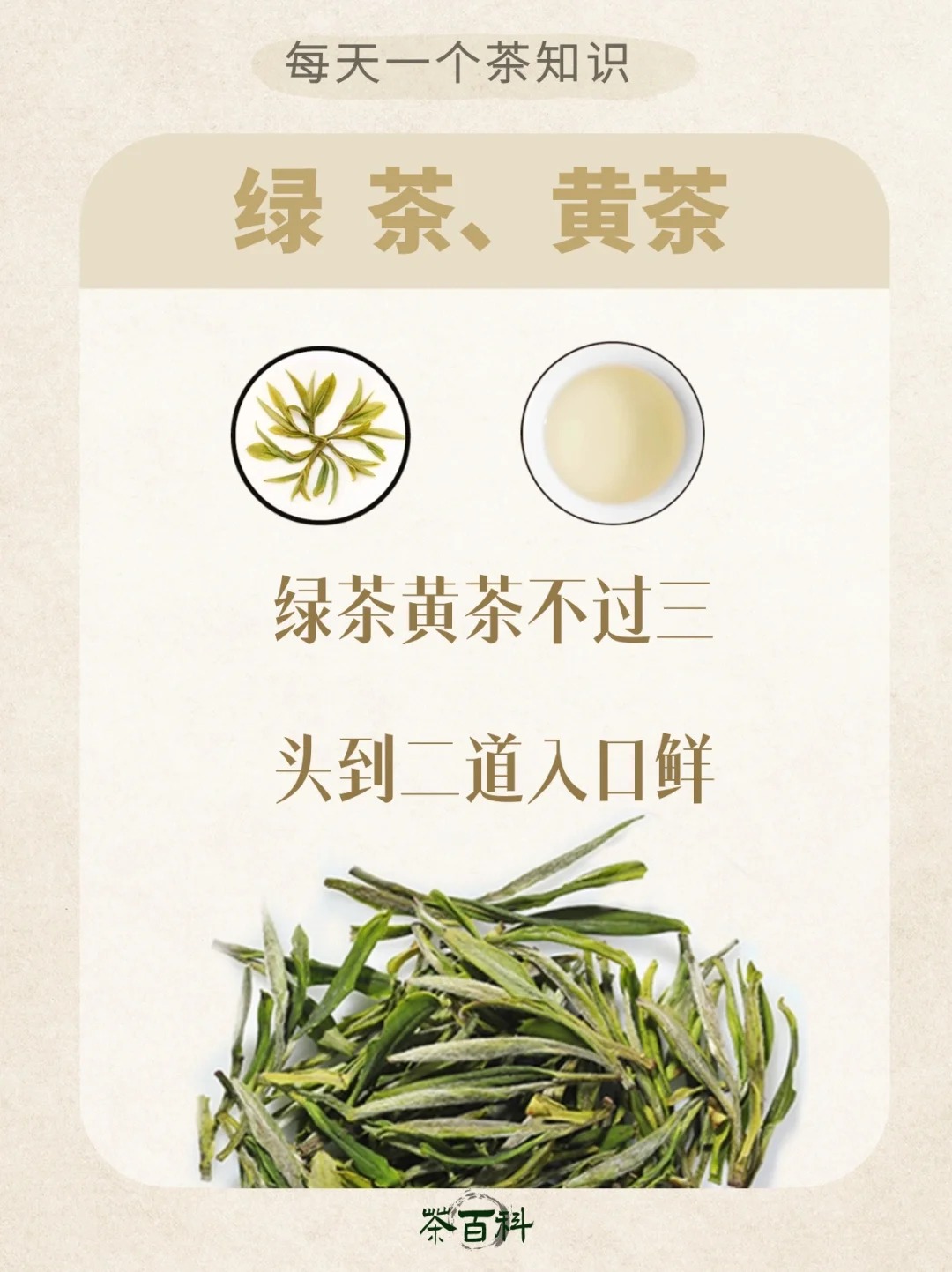 茶叶能泡多少次❓记住这几个顺口溜㊙️配图4