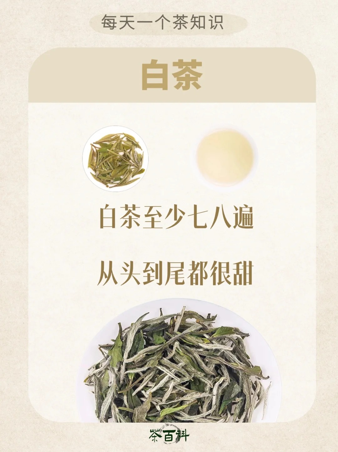 茶能泡几泡,记住这5句顺口溜📝~配图3