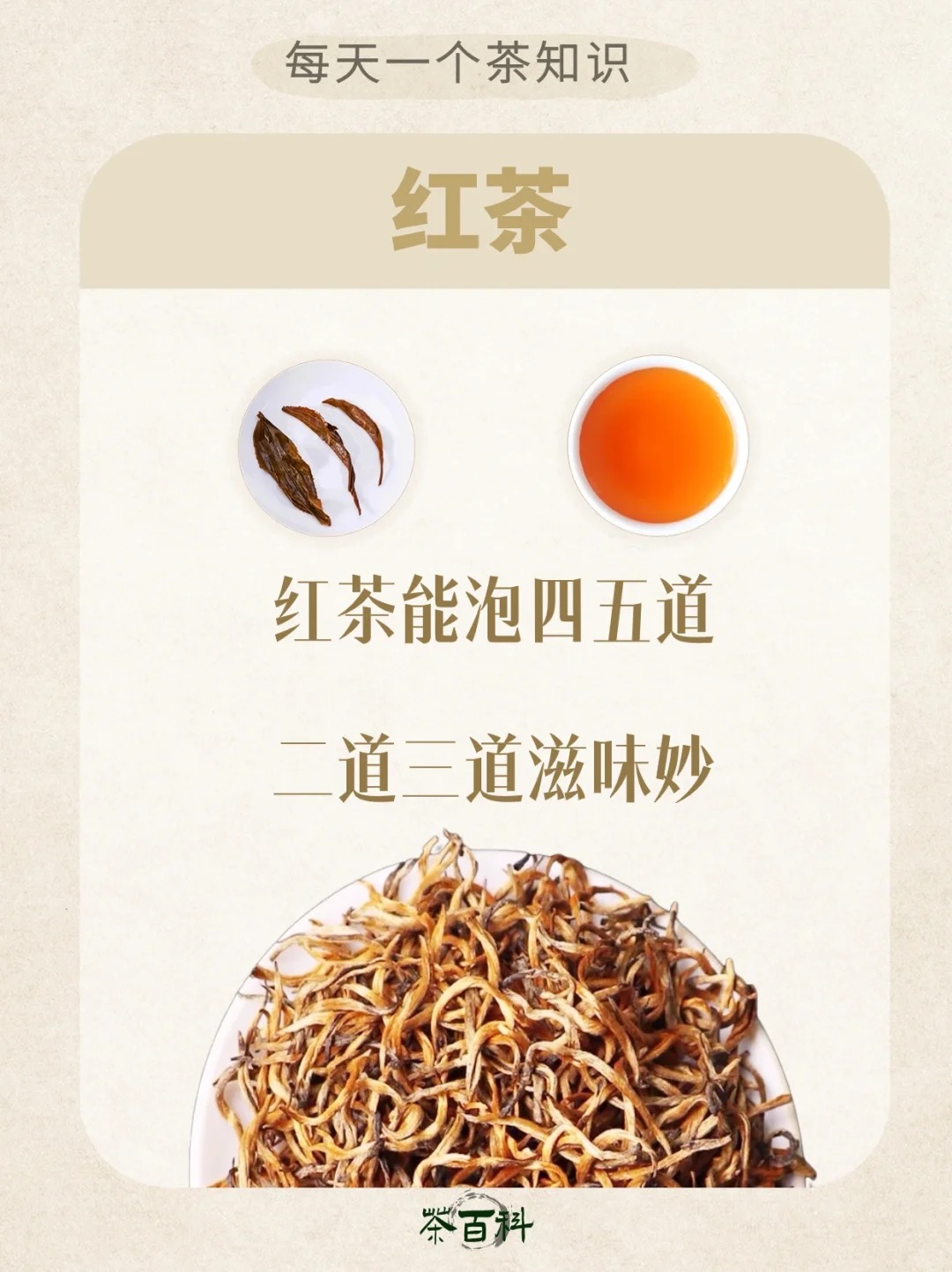 茶能泡几泡,记住这5句顺口溜📝~配图4