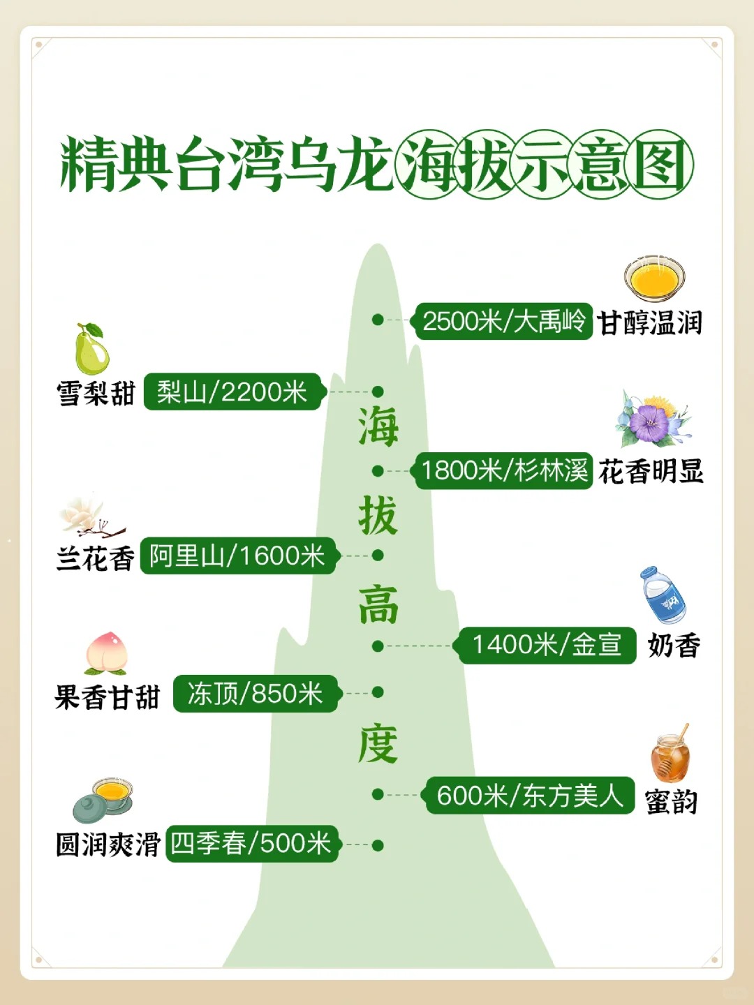 🌱台湾乌龙🍵:品味顶级茶树的艺术配图2