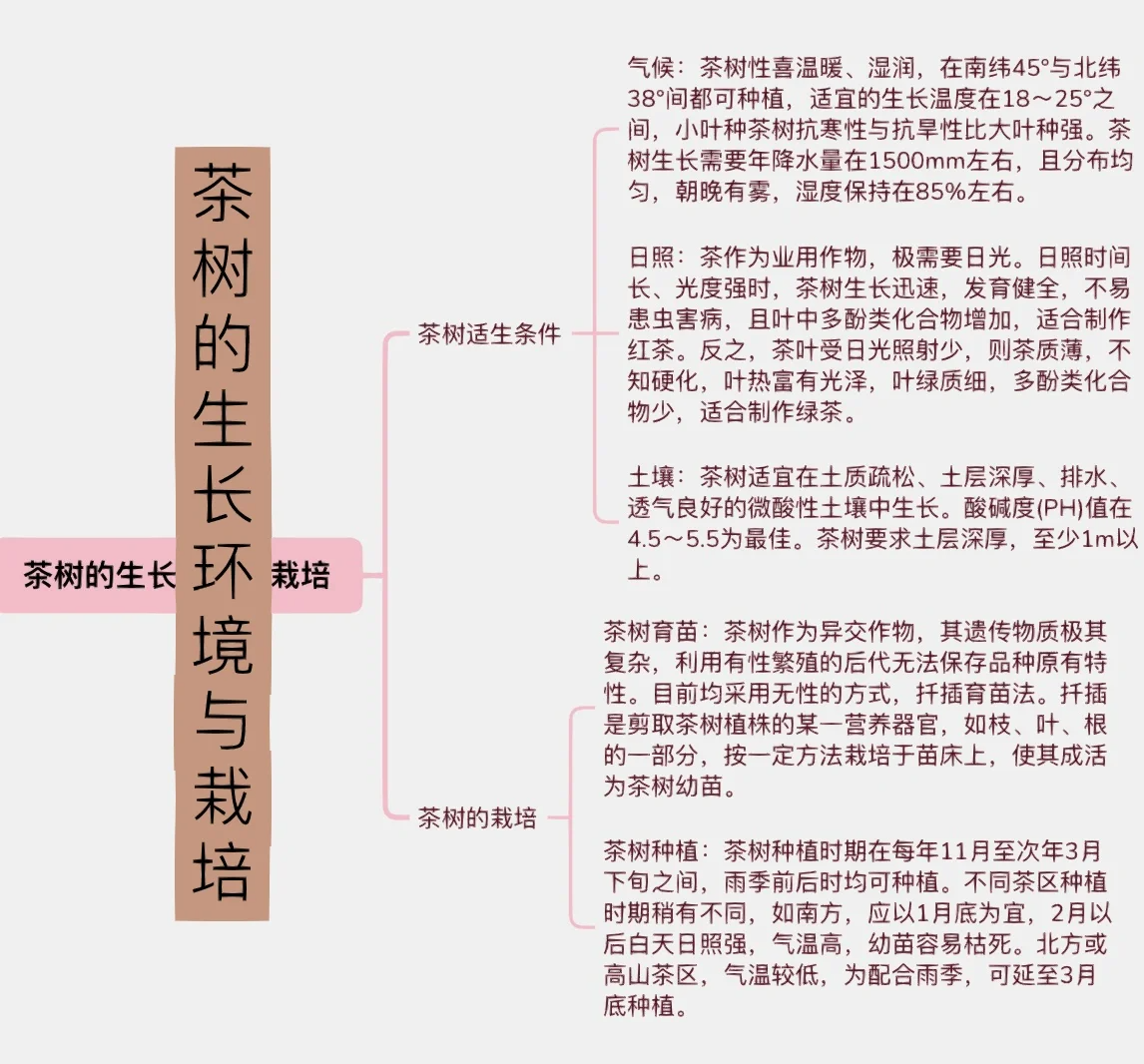 茶文化|茶树的生长环境与栽培配图1