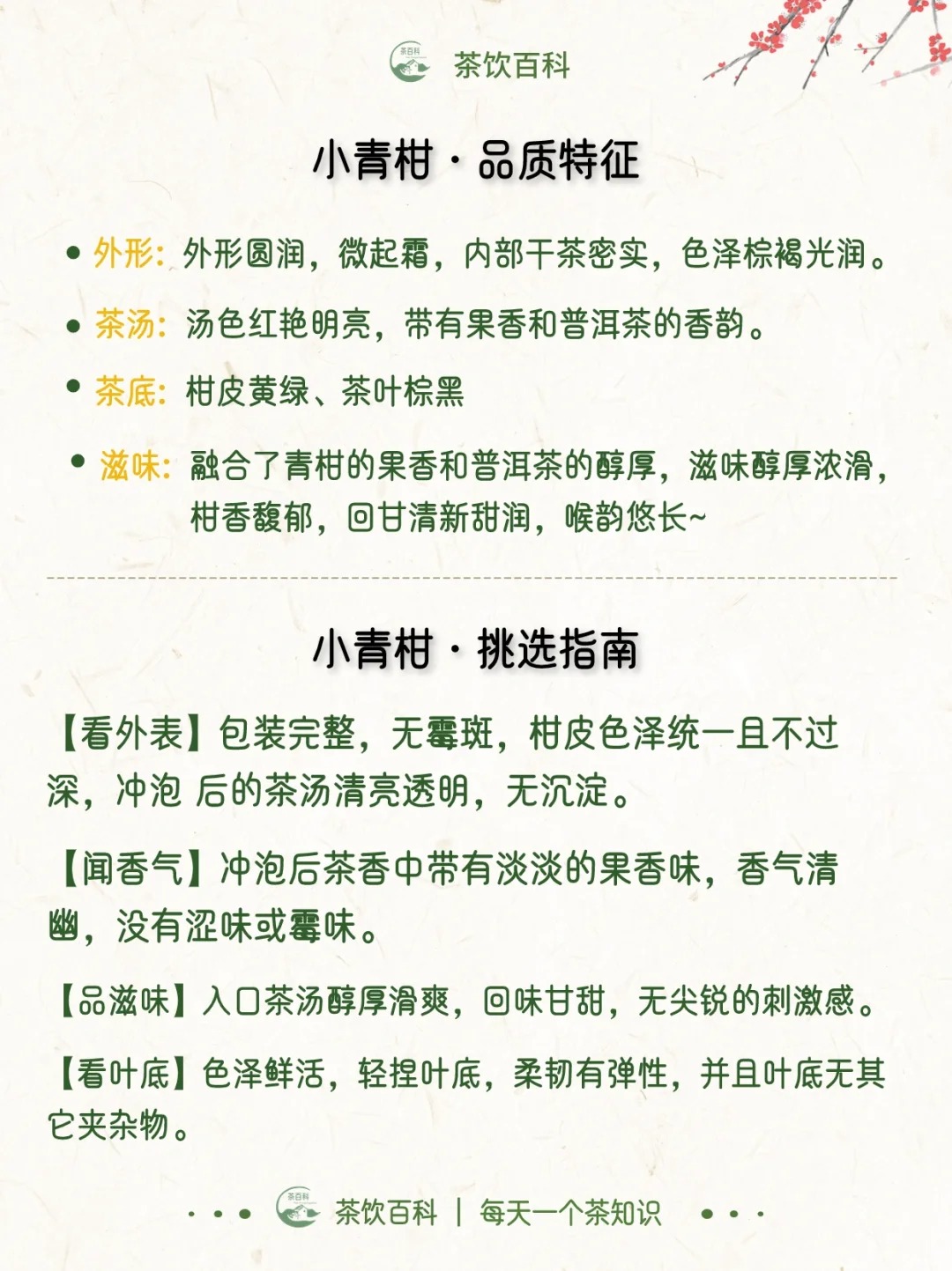 你知道小青柑是什么茶吗?配图2