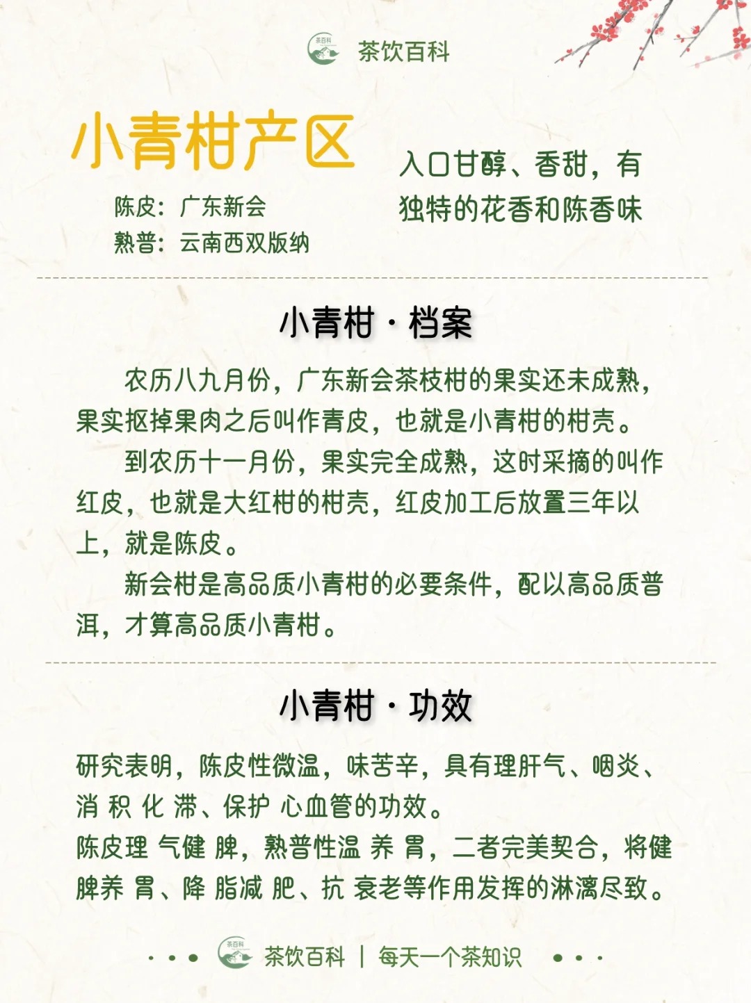 你知道小青柑是什么茶吗?配图3
