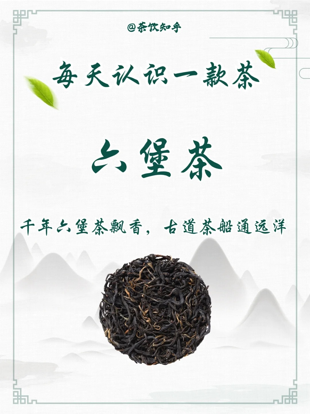 茶知识|一文读懂六堡茶配图1