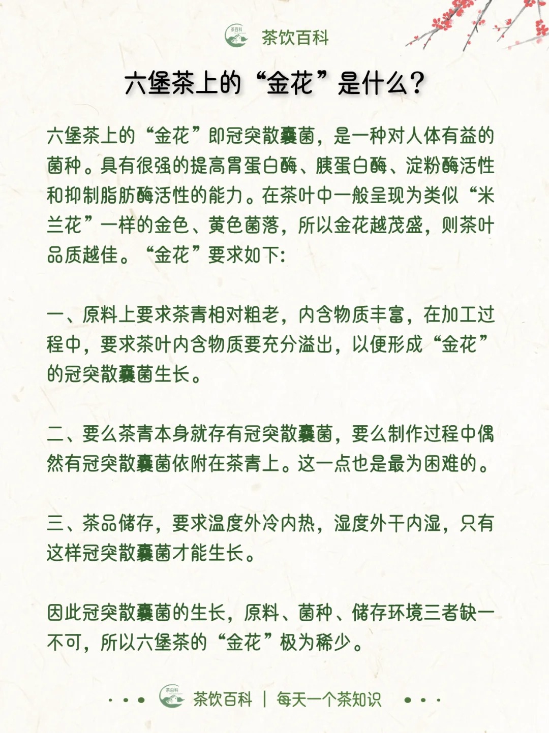 一文了解|六堡茶配图3