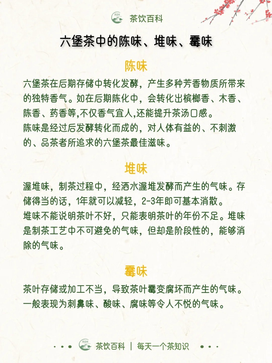 一文了解|六堡茶配图4