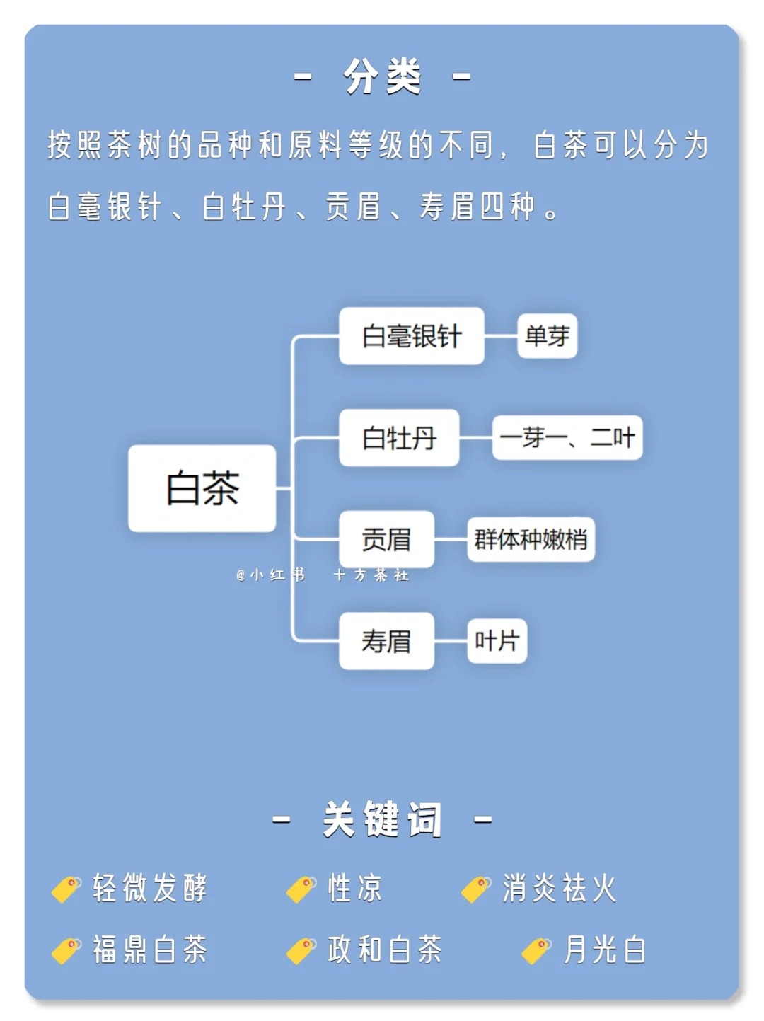 七天懂茶系列,第二期,白茶配图7