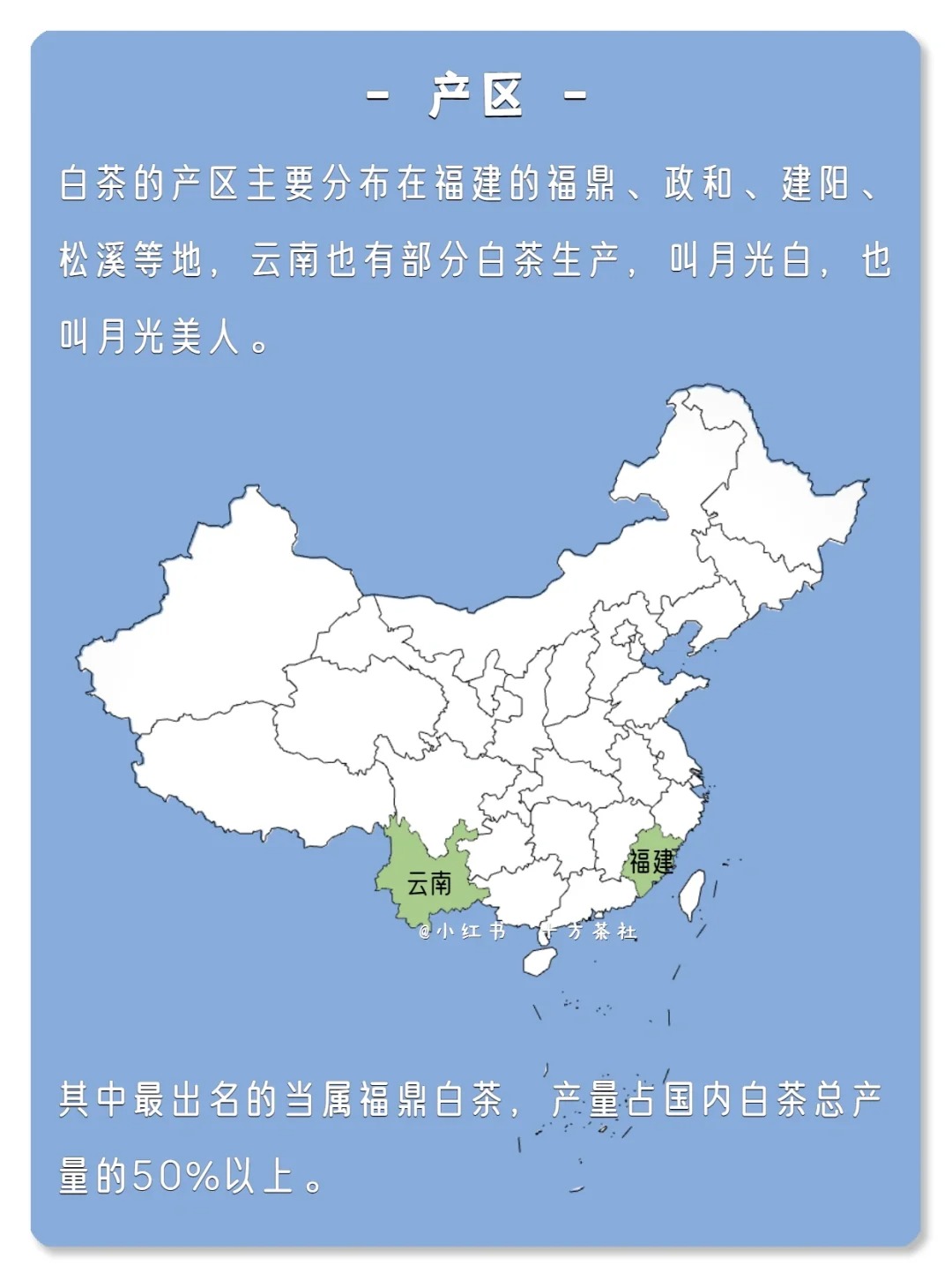七天懂茶系列,第二期,白茶配图2