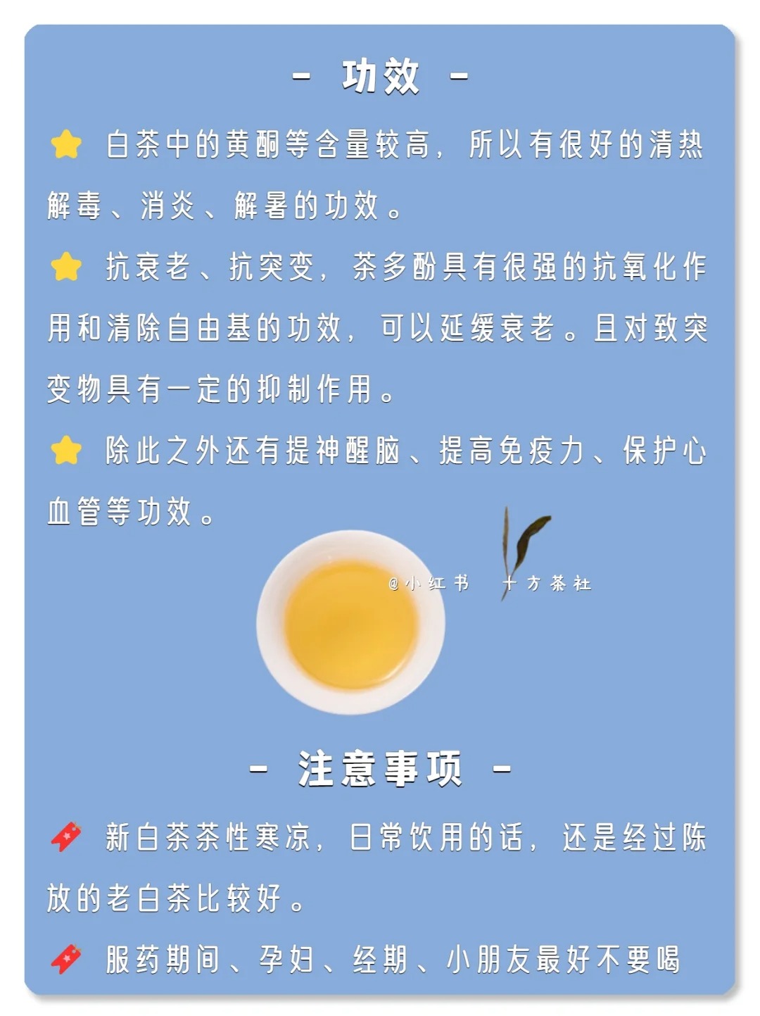七天懂茶系列,第二期,白茶配图3