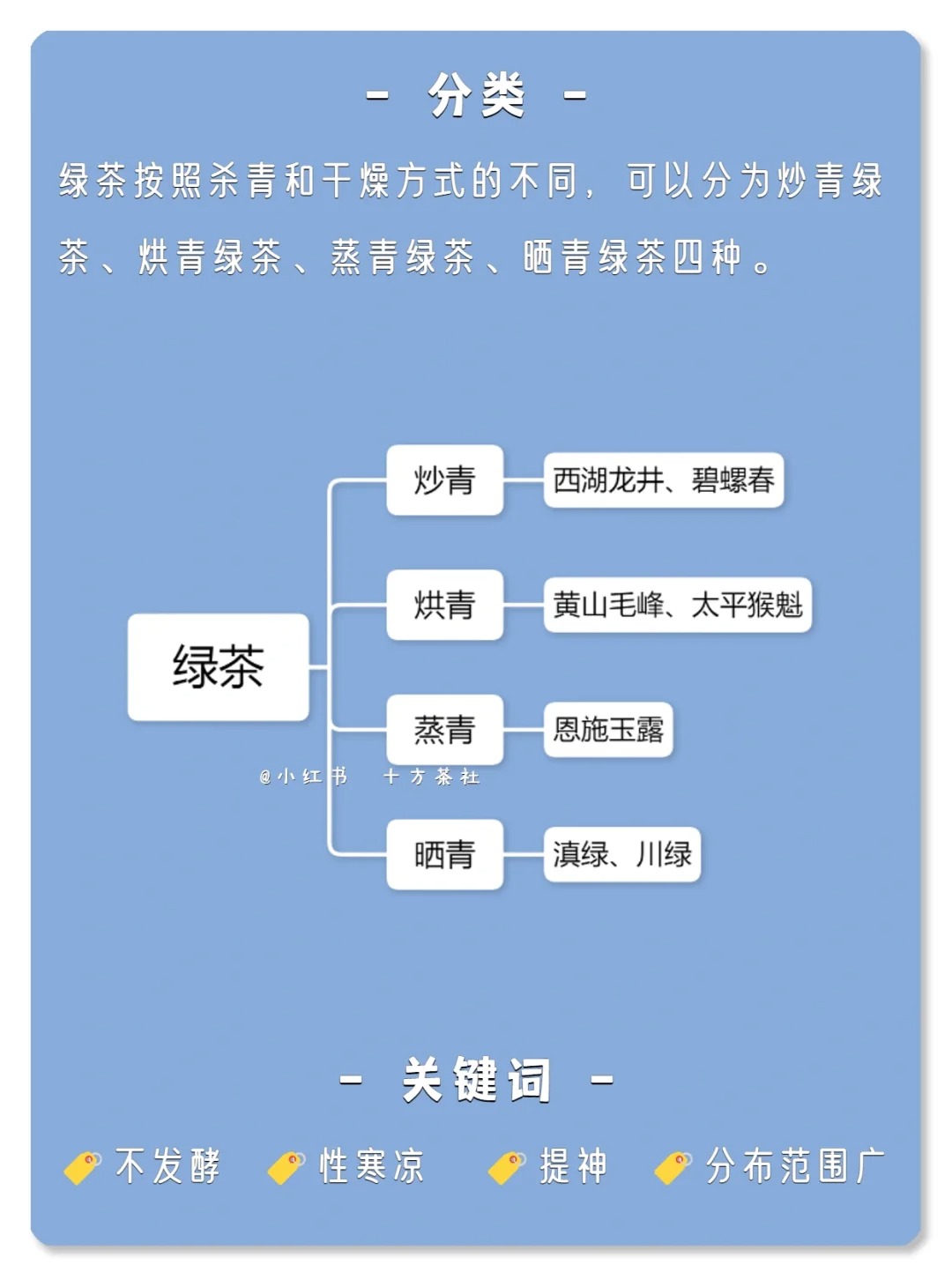 七天懂茶系列,第一期,绿茶配图2
