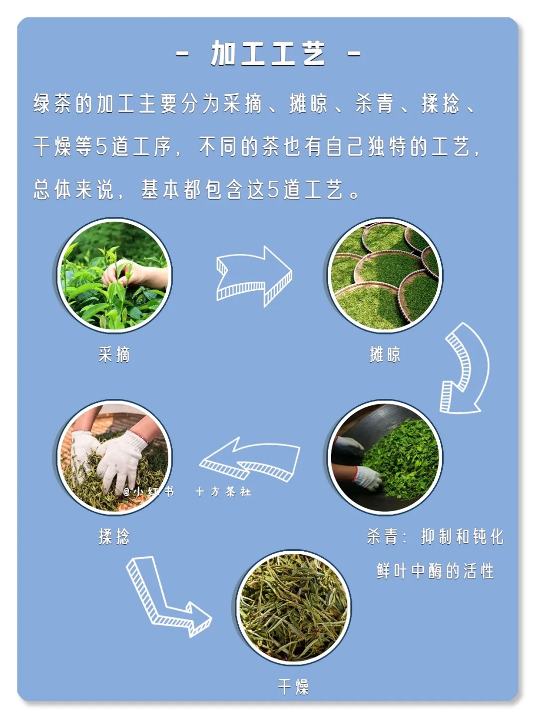 七天懂茶系列,第一期,绿茶配图5