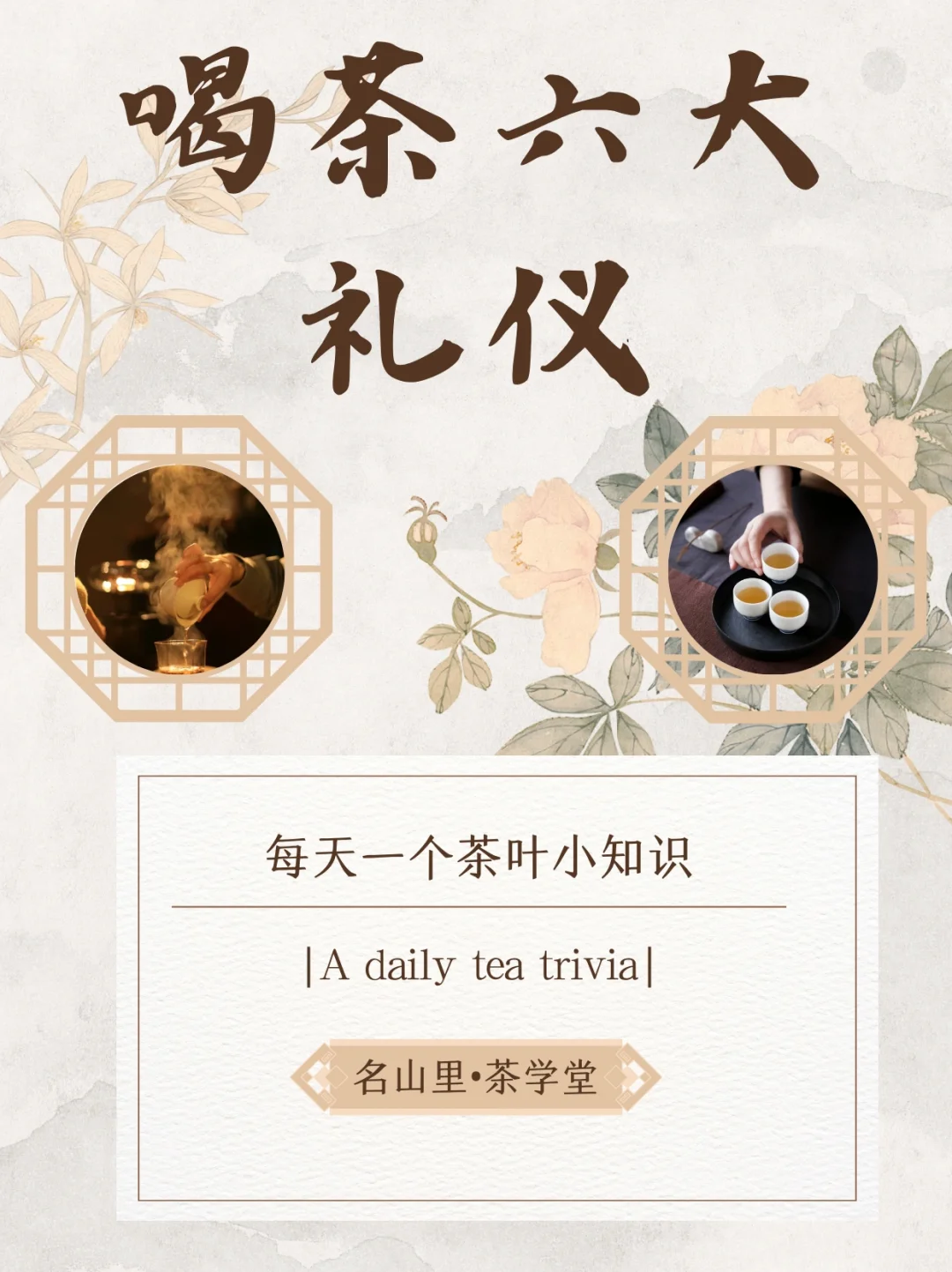 喝茶的六大礼仪 看看你get几个✅配图1