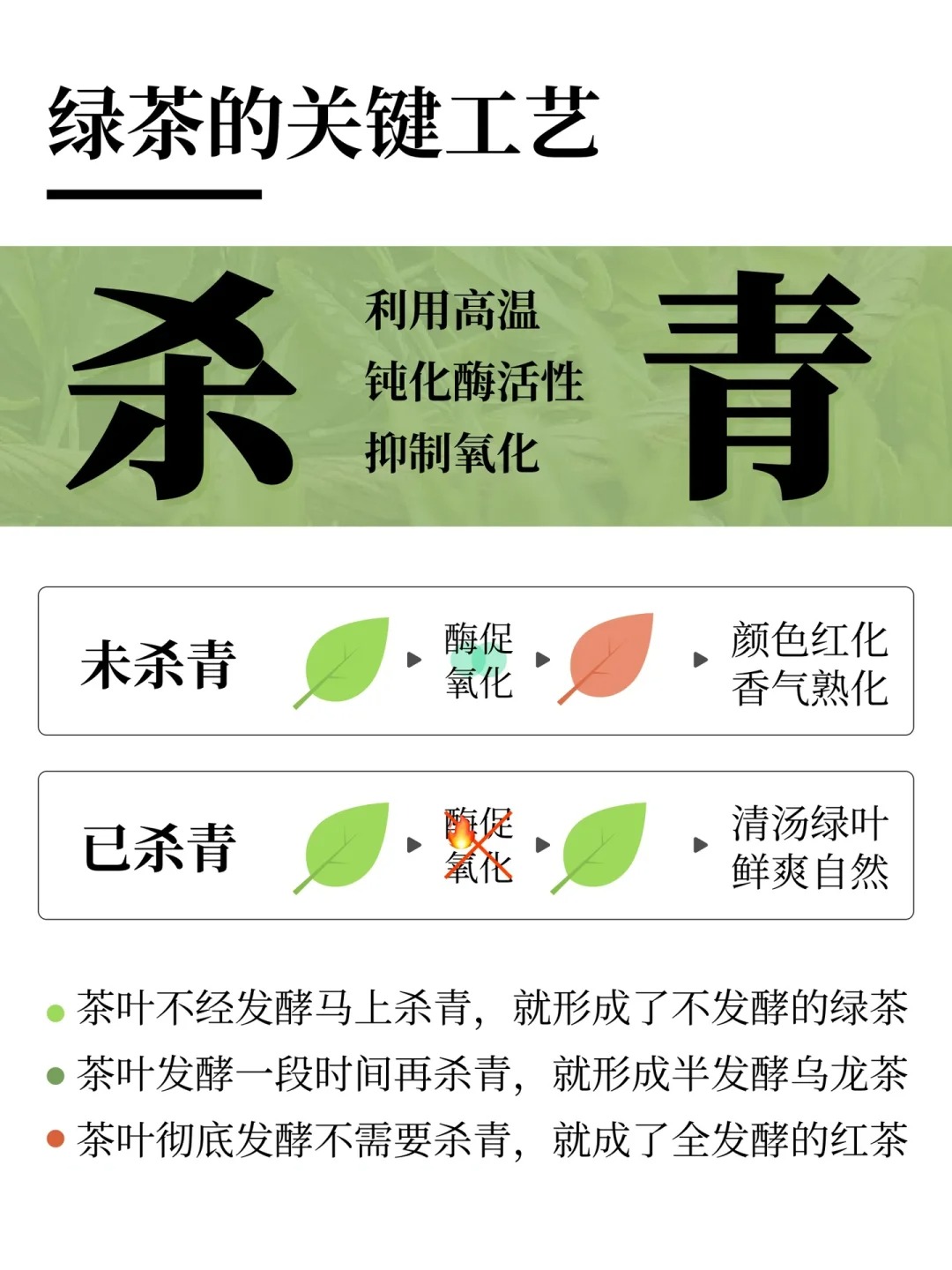 【制茶工艺-杀青】这个工艺做得好 绿茶会更鲜配图1
