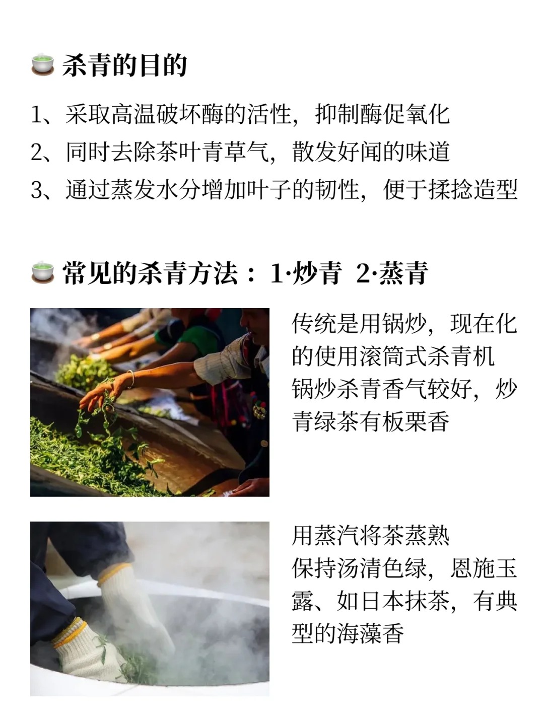 【制茶工艺-杀青】这个工艺做得好 绿茶会更鲜配图2