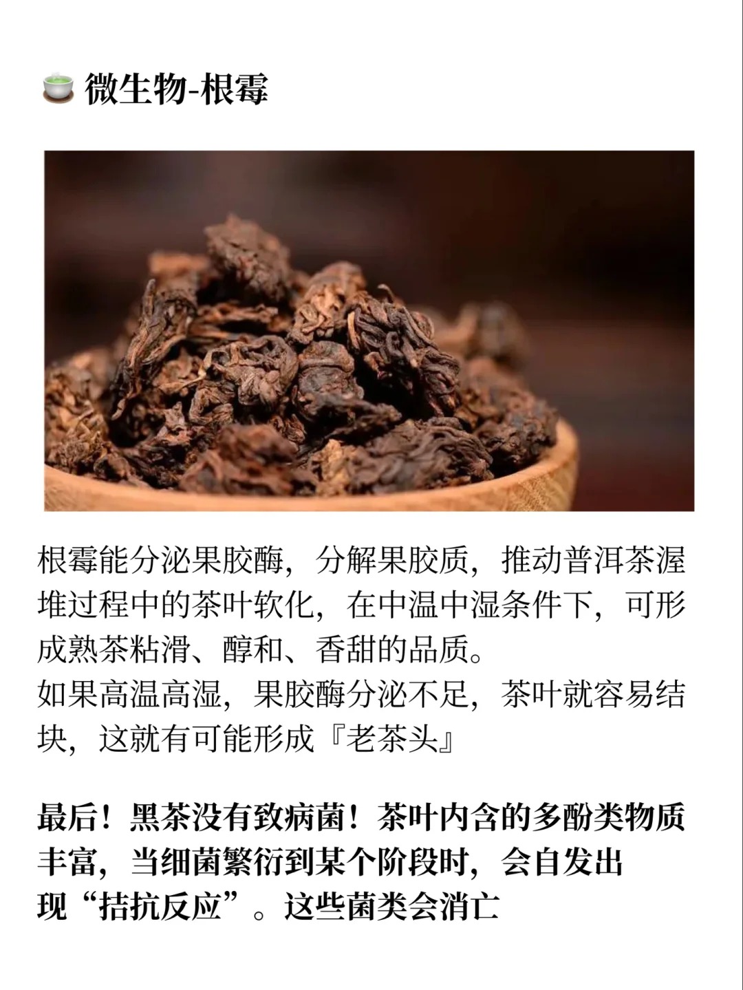 制茶工艺-渥堆】真正的发酵茶!养生必备配图5