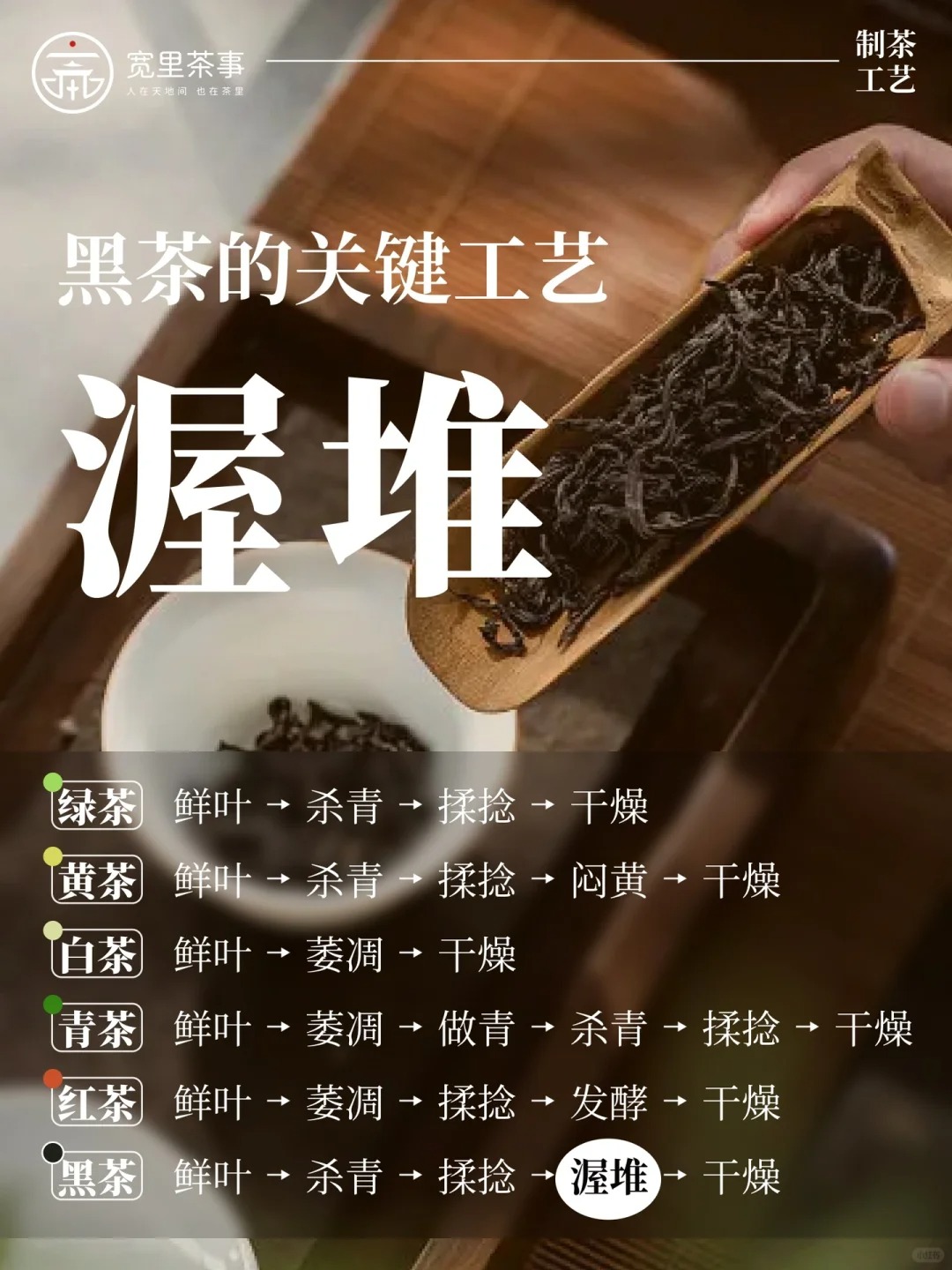 制茶工艺-渥堆】真正的发酵茶!养生必备配图1