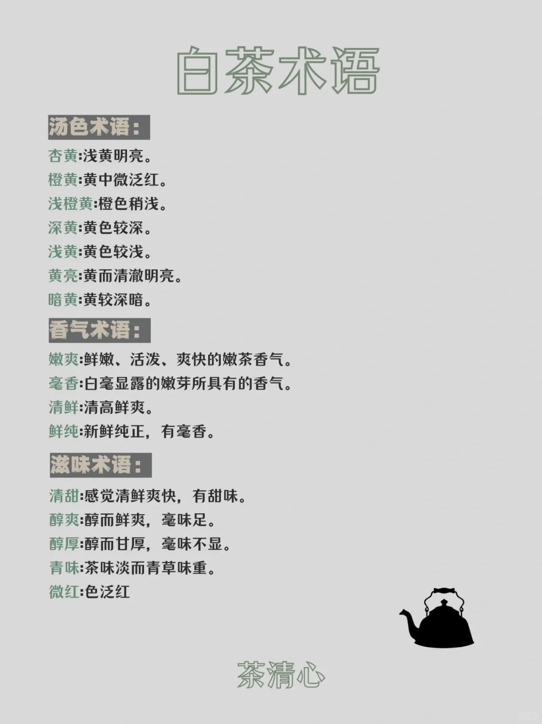 秒变茶届资深玩家|全面了解白茶🌿配图2