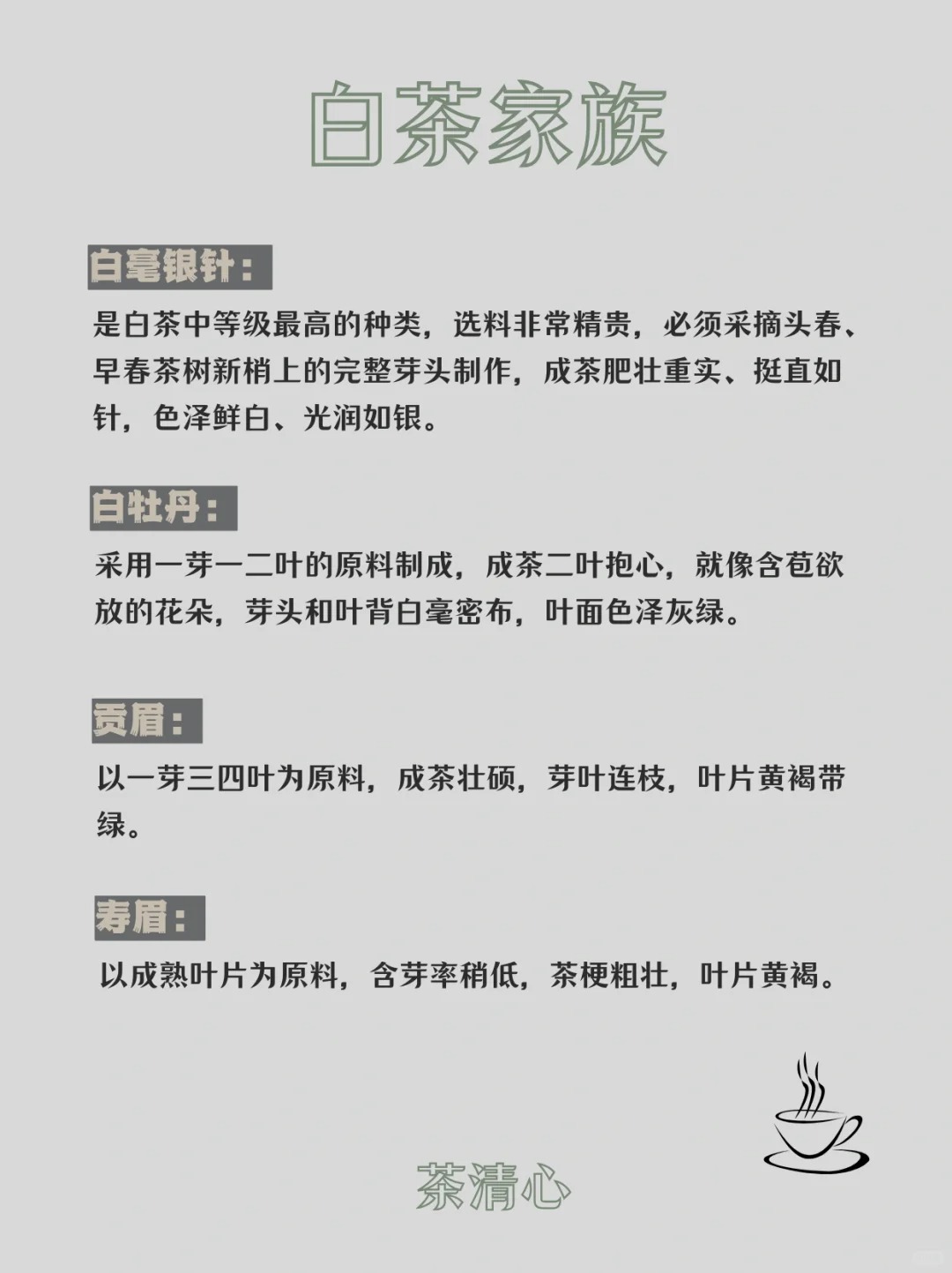秒变茶届资深玩家|全面了解白茶🌿配图3