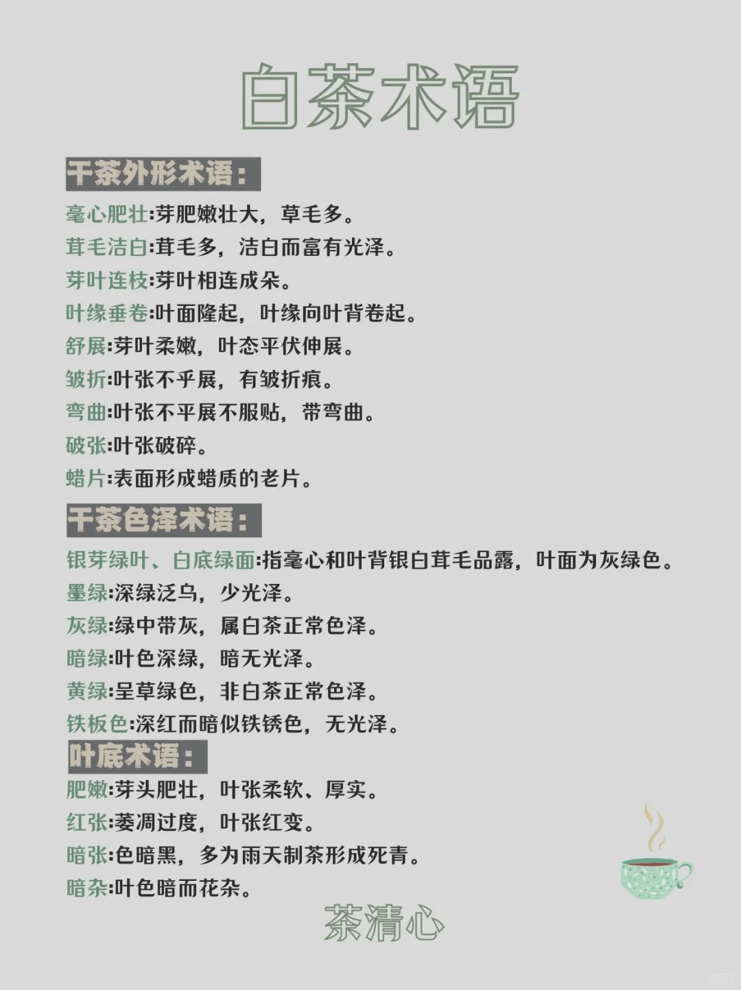 秒变茶届资深玩家|全面了解白茶🌿配图4