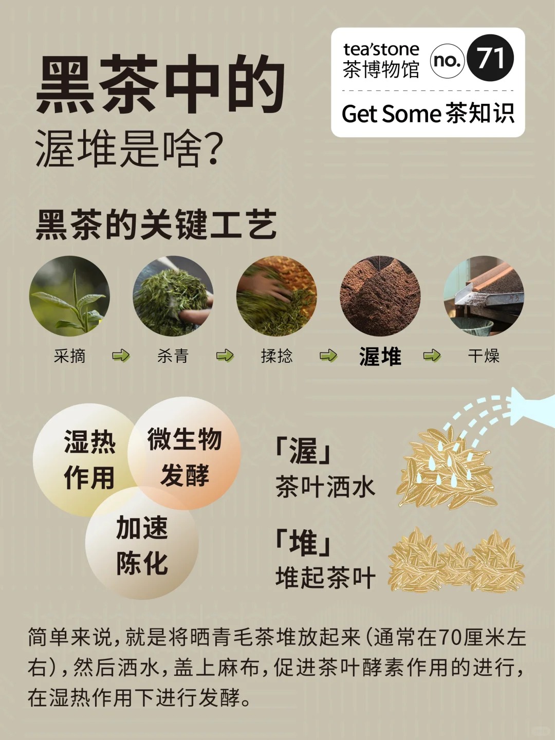 茶知识丨黑茶工艺渥堆到底是什么?配图1