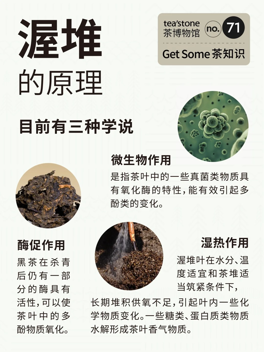 茶知识丨黑茶工艺渥堆到底是什么?配图3