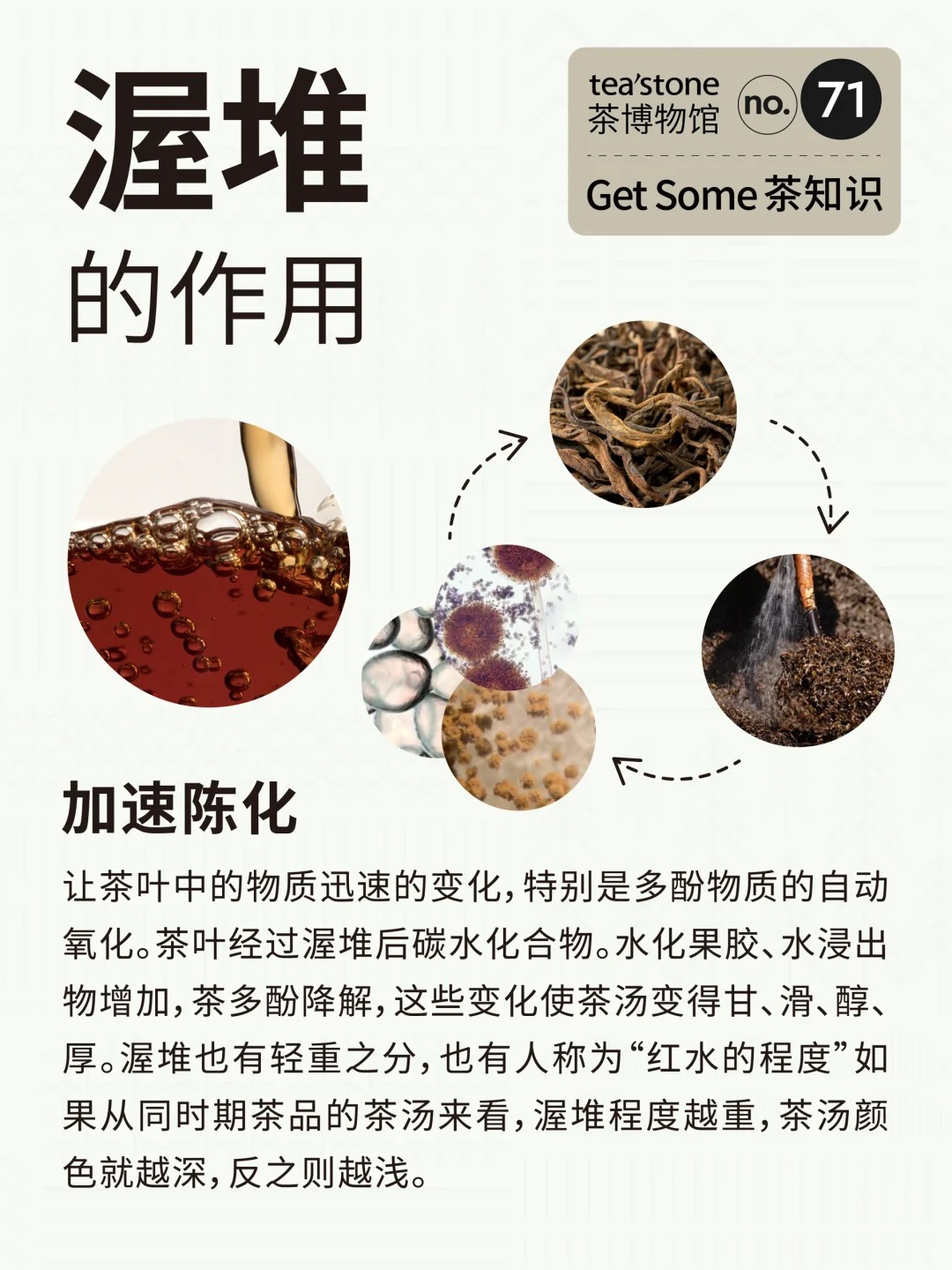 茶知识丨黑茶工艺渥堆到底是什么?配图2