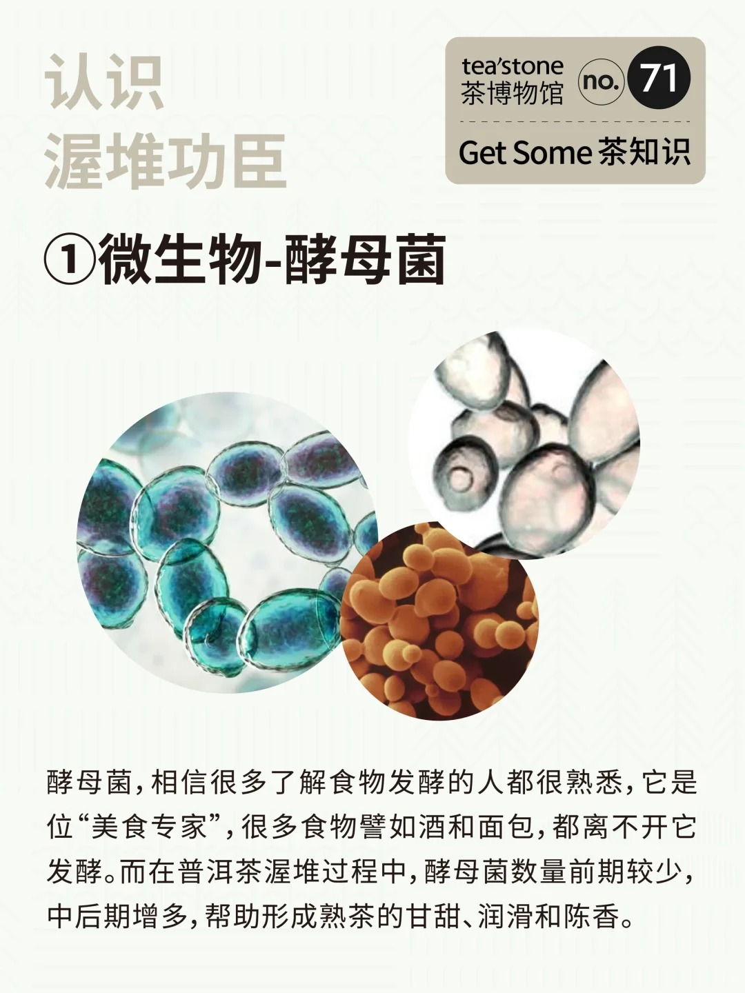 茶知识丨黑茶工艺渥堆到底是什么?配图4
