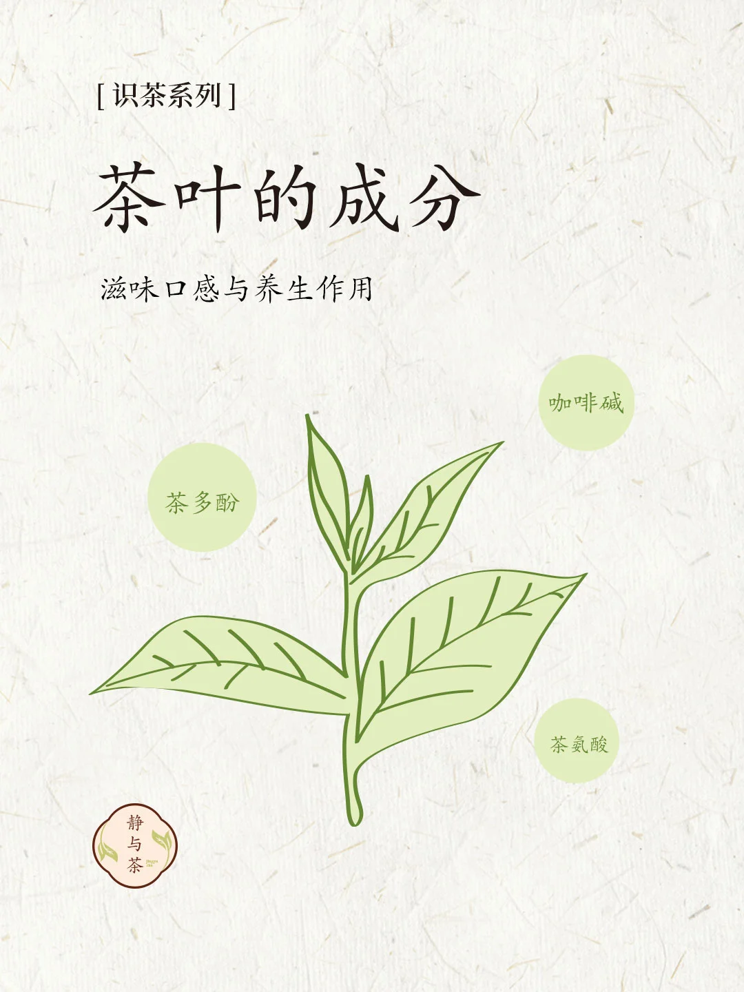 茶知识 | 一文搞懂茶叶苦甜涩来源与功效配图1