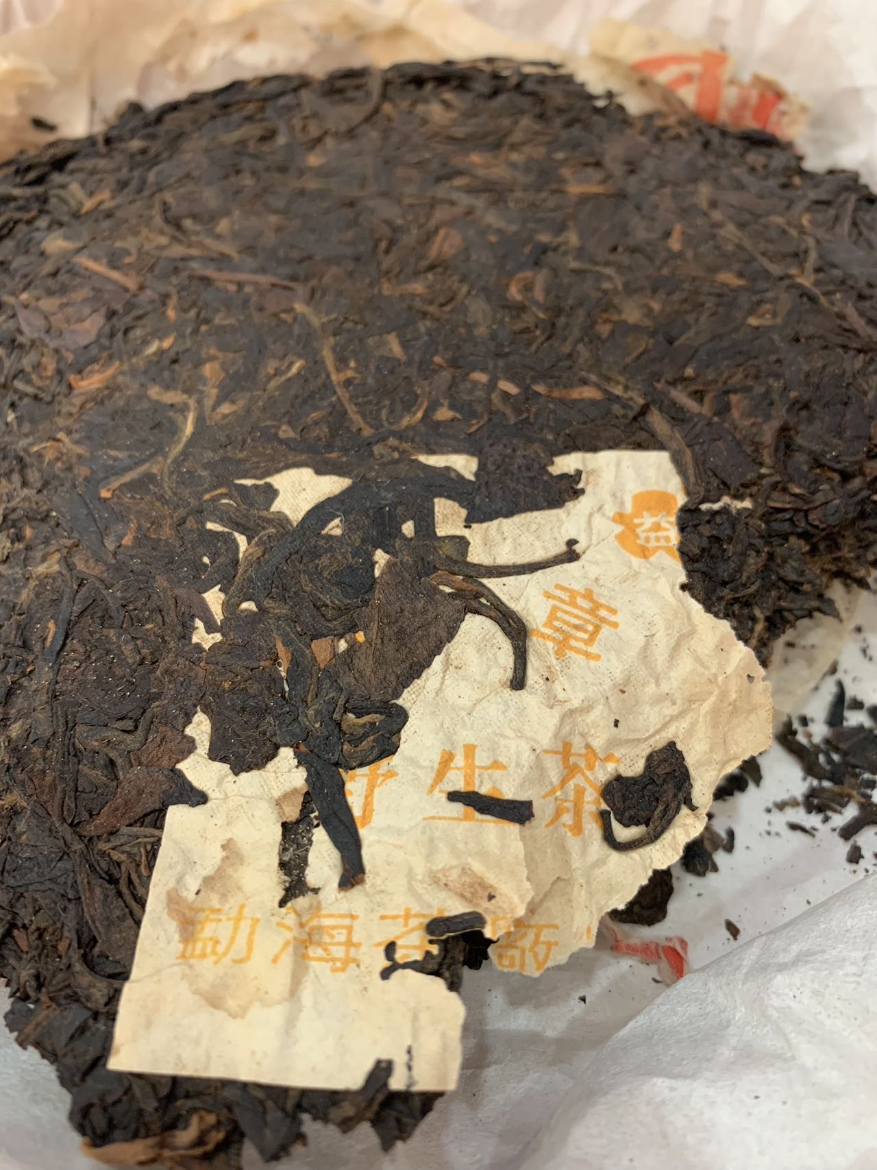 干茶信息图片3