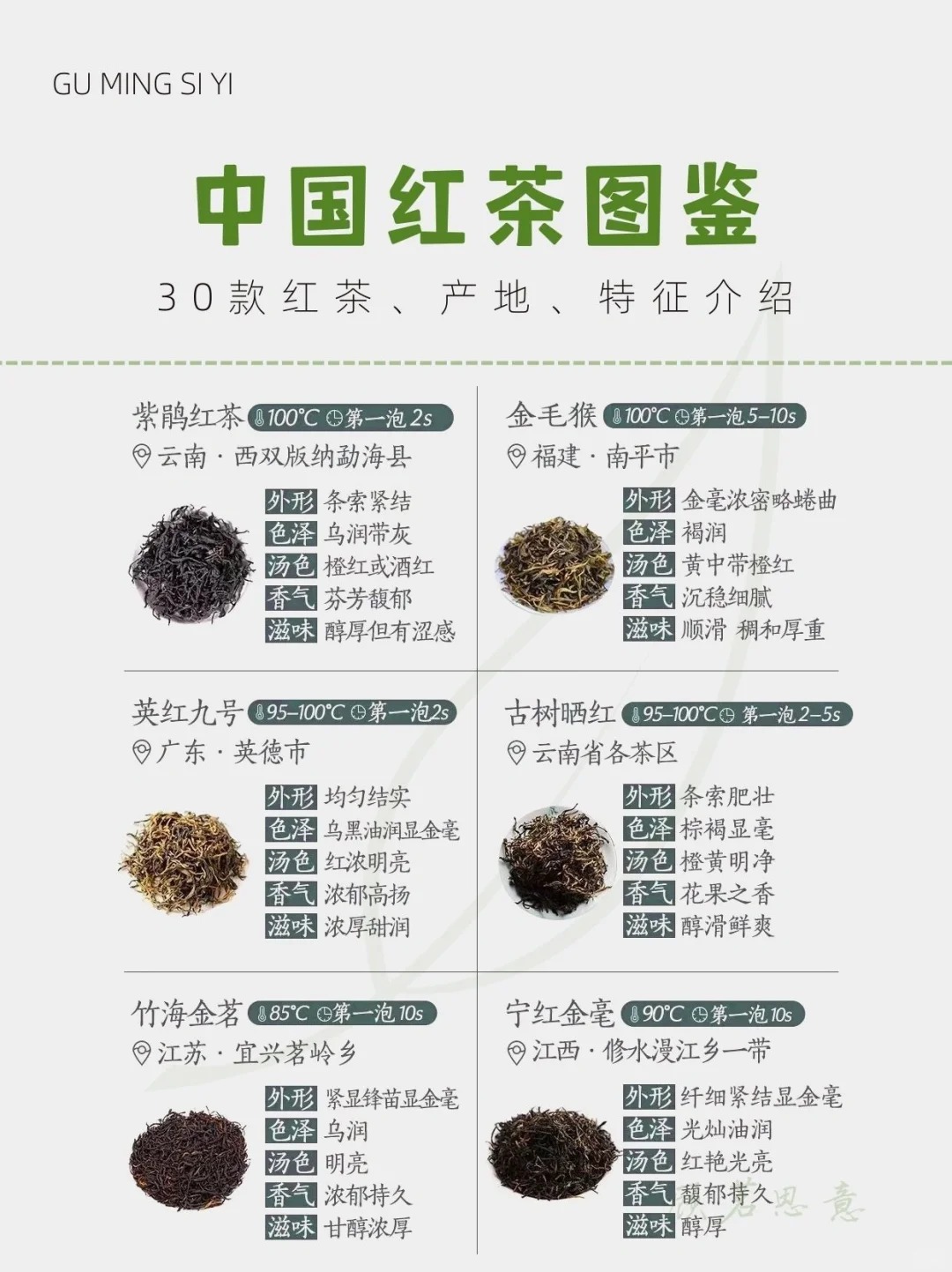 中国六大茶类 | 红茶图鉴篇🌈配图4