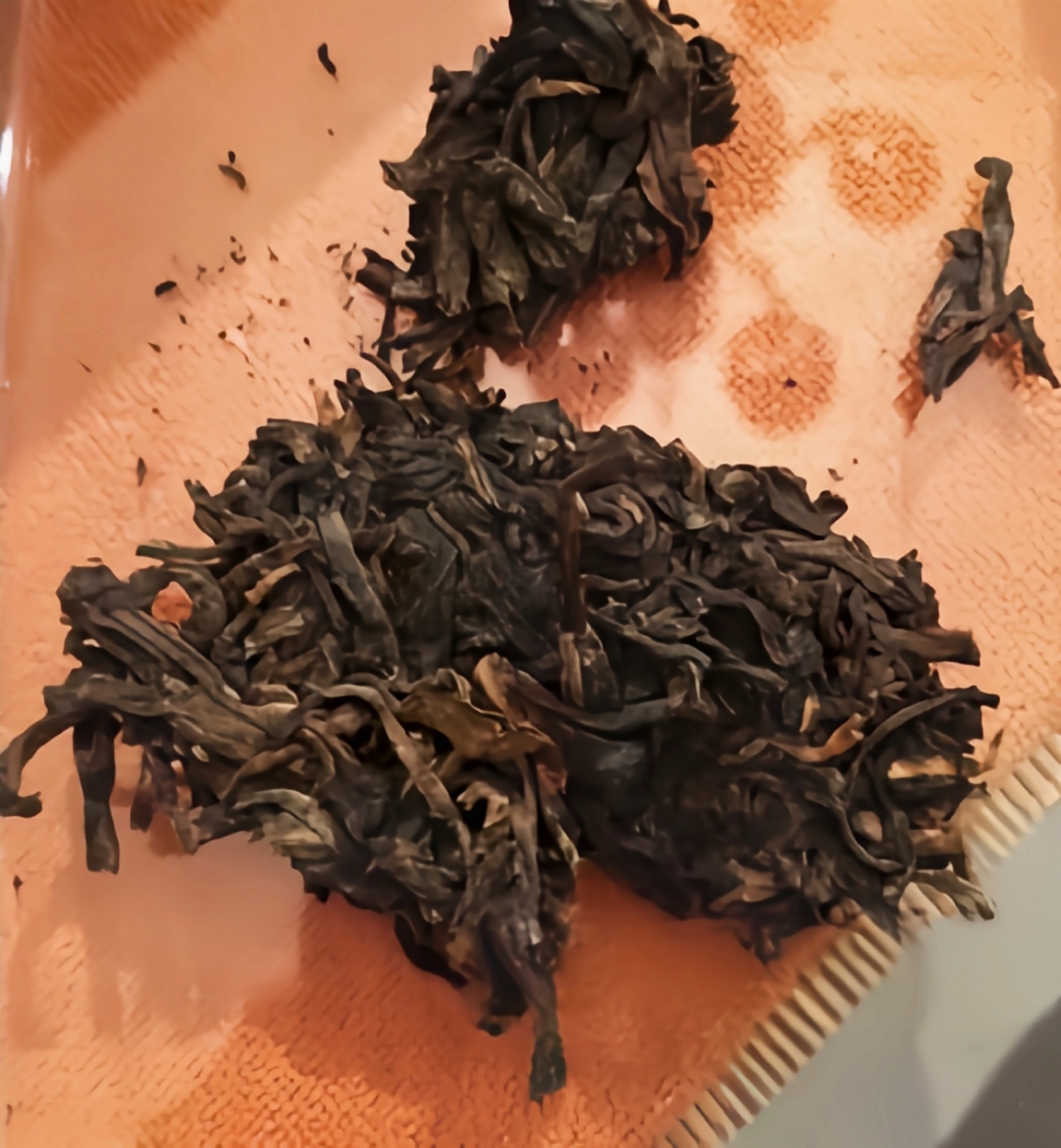 干茶信息图片1