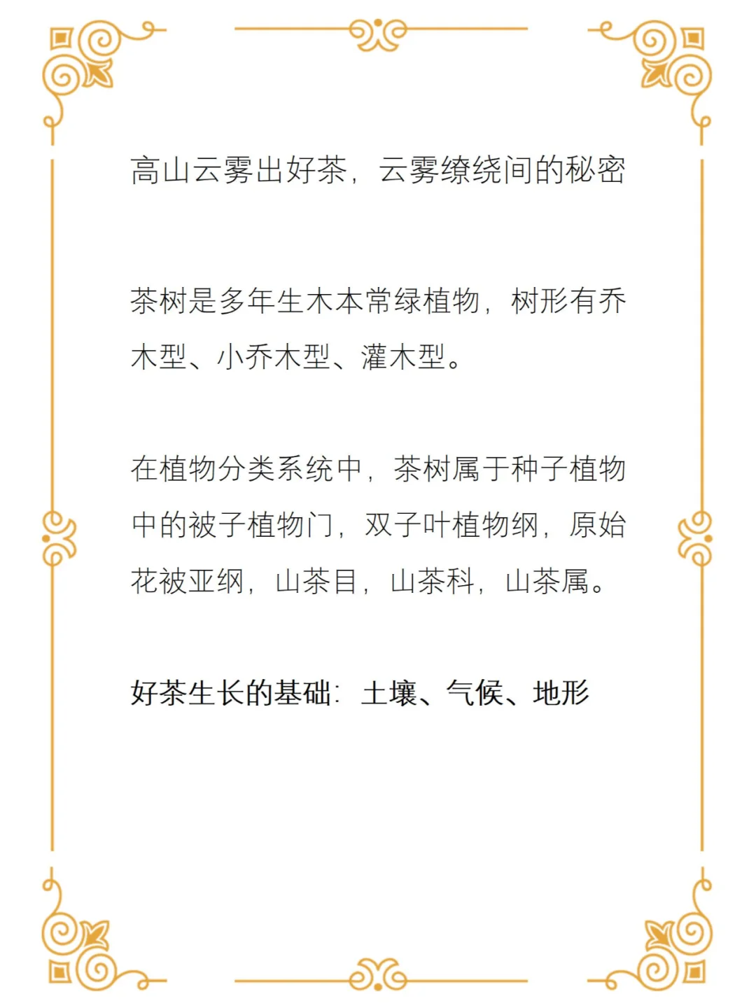 高山云雾出好茶,云雾缭绕间的秘密配图1