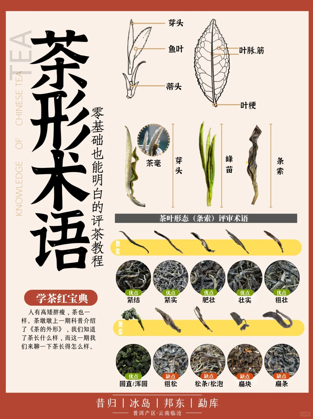 📙学茶|茶形术语,如何评价茶长得怎么样配图1