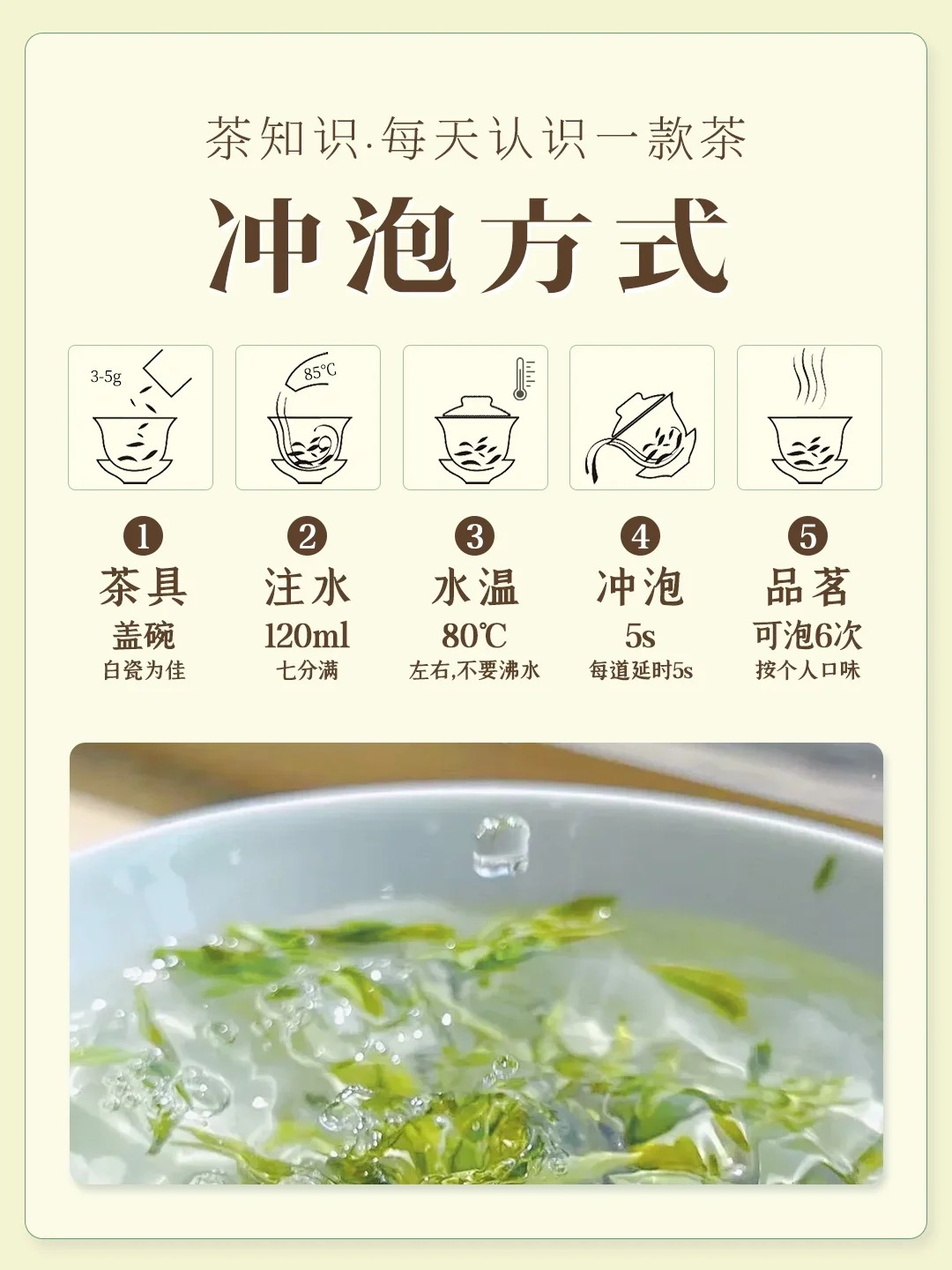 日照绿茶配图5