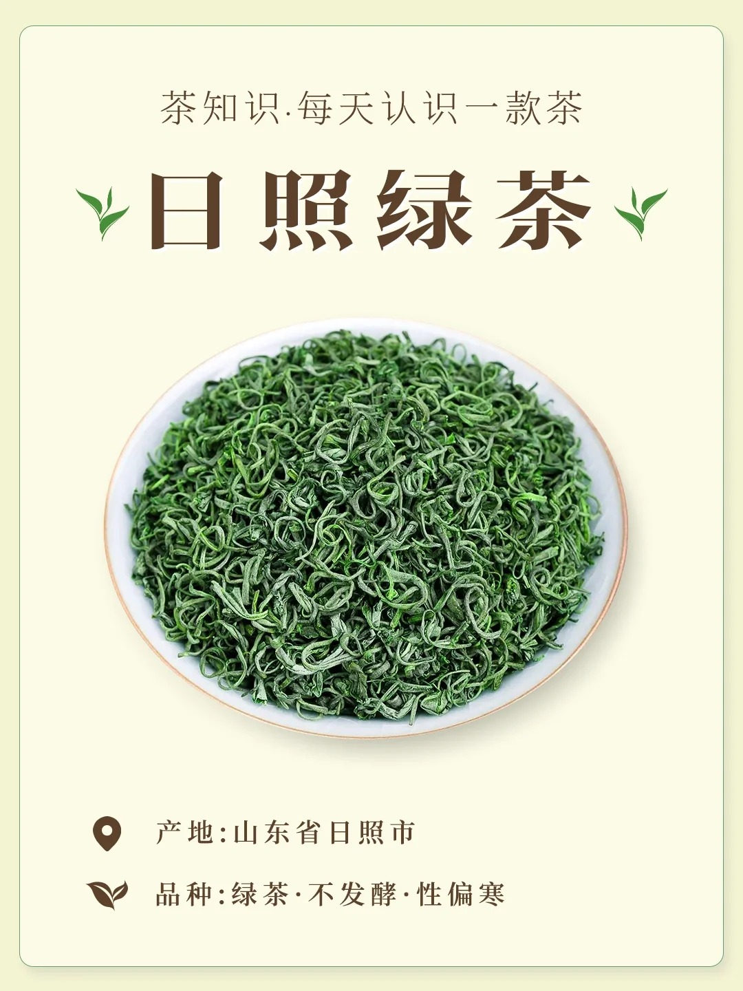 日照绿茶配图1
