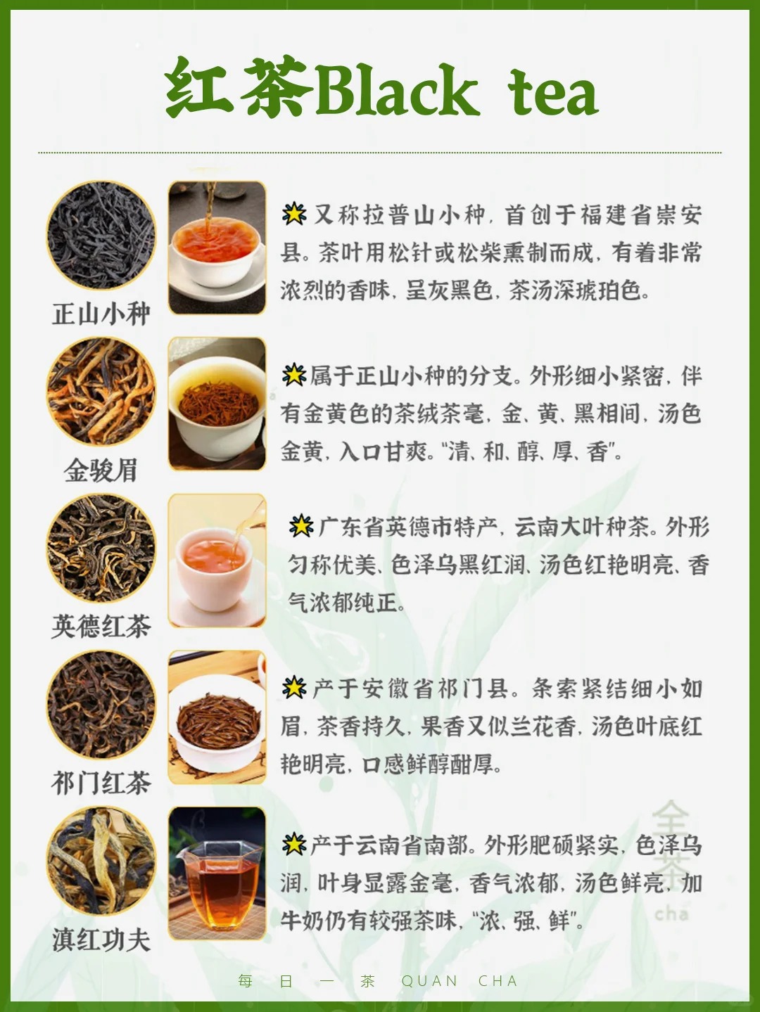 每日一茶丨中国六大茶类典型代表!🍵配图4