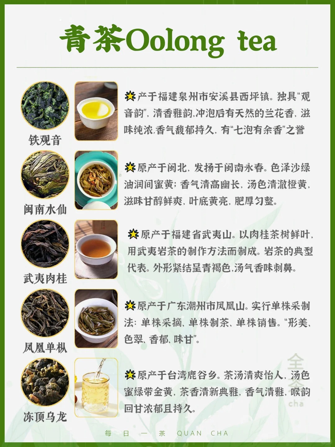 每日一茶丨中国六大茶类典型代表!🍵配图6