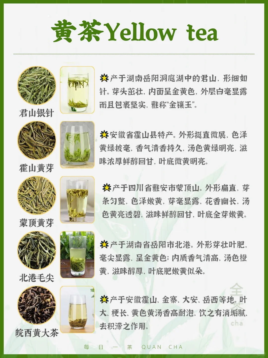 每日一茶丨中国六大茶类典型代表!🍵配图2