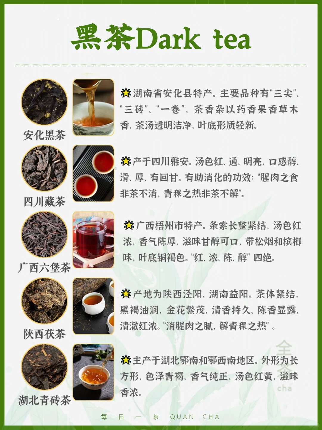 每日一茶丨中国六大茶类典型代表!🍵配图5