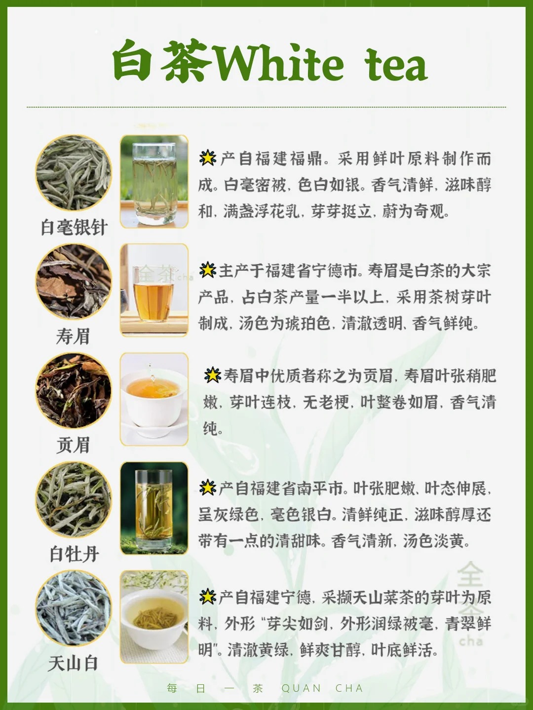 每日一茶丨中国六大茶类典型代表!🍵配图3