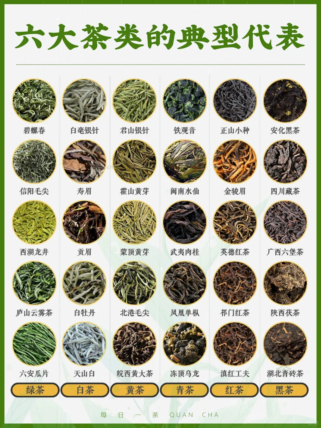 每日一茶丨中国六大茶类典型代表!🍵配图1