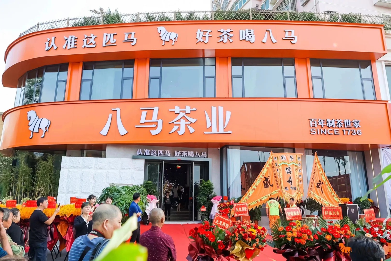 品牌茶叶店哪家强?数量说话!配图6