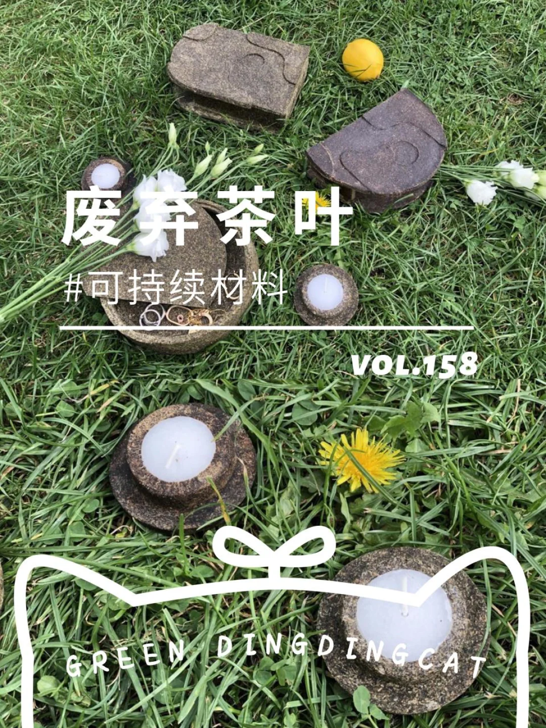 可持续材料 | 茶计划配图1