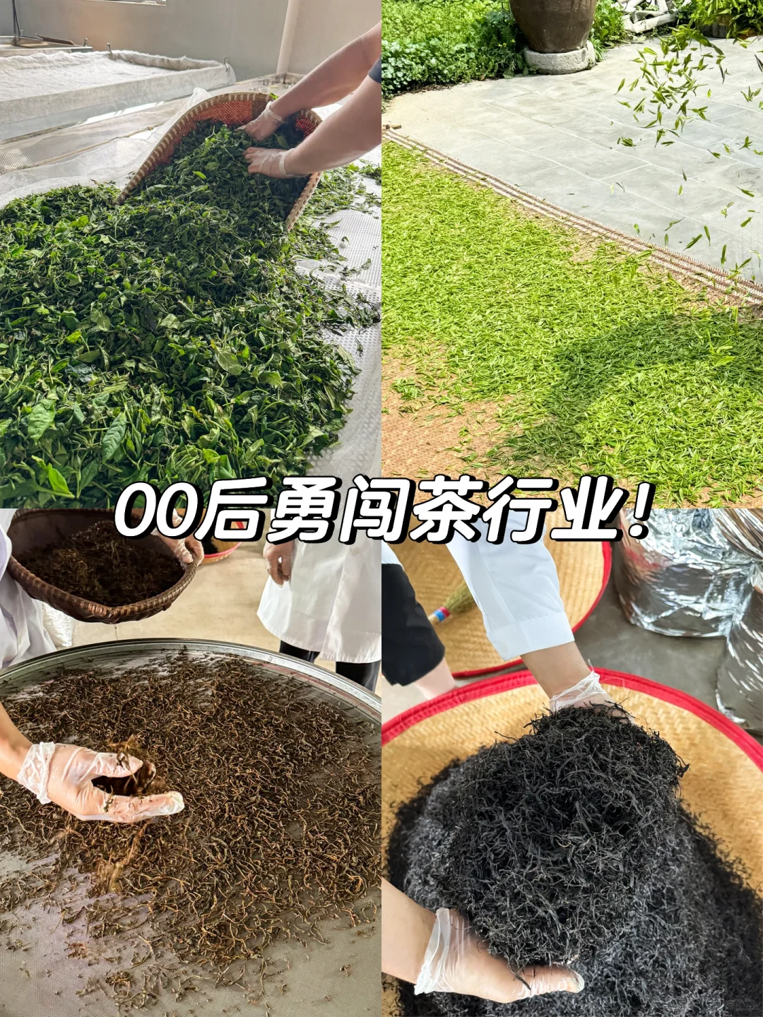 00后勇闯茶行业|从业三个月,卖了2斤茶!配图1
