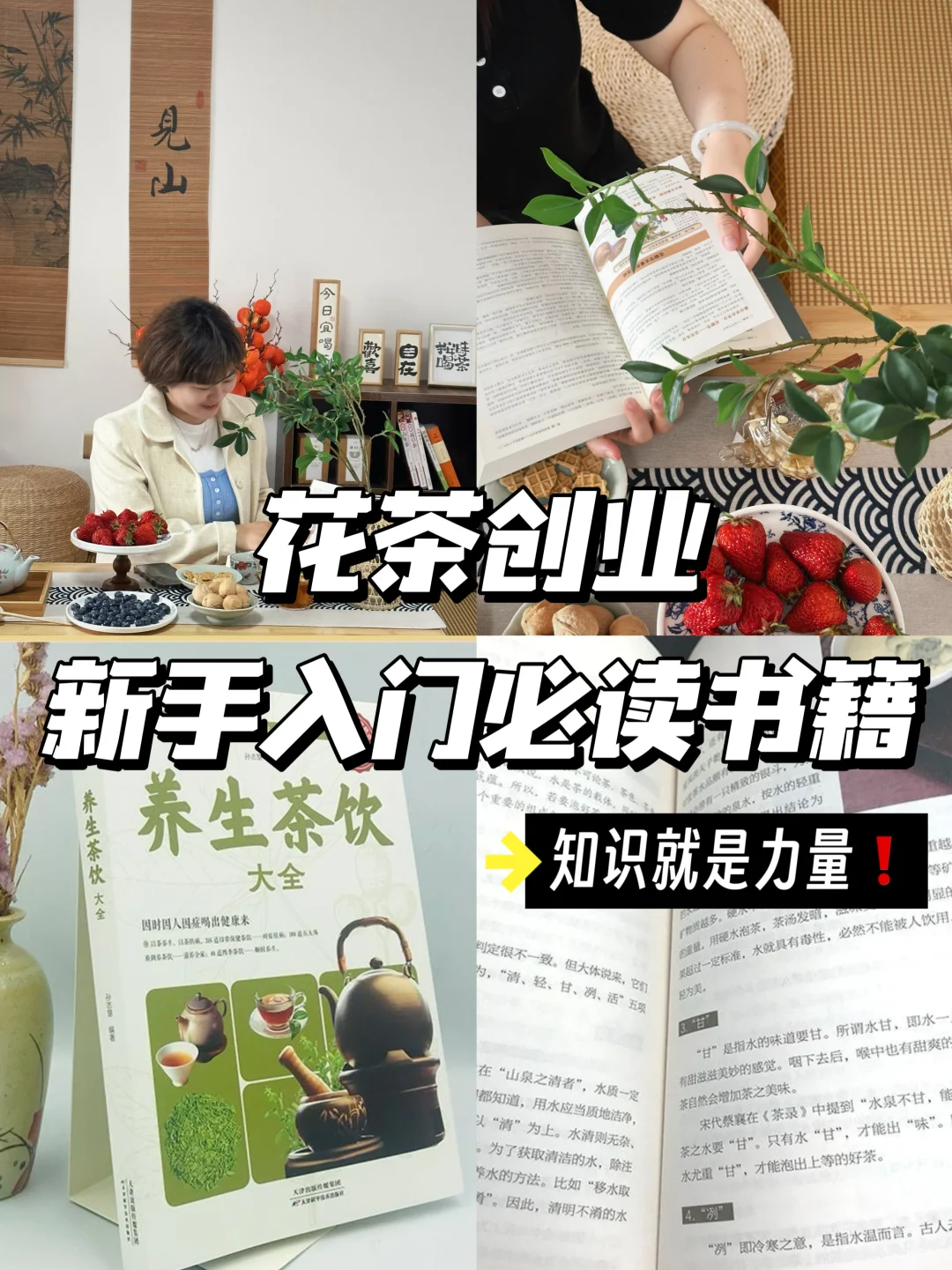 花茶创业|读透这些书📖新手快速上手👍配图1