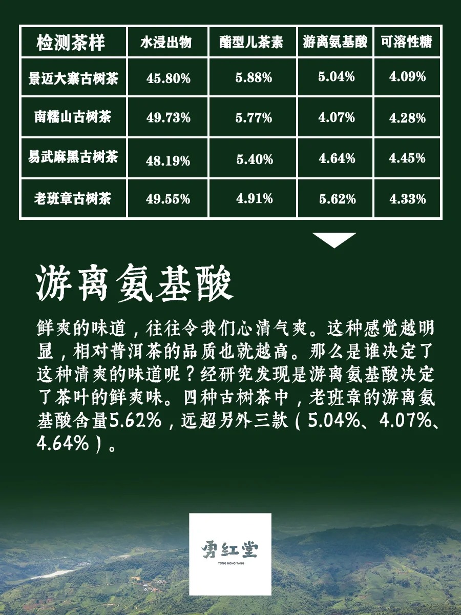 茶数据|数据分析老班章的 yyds配图2