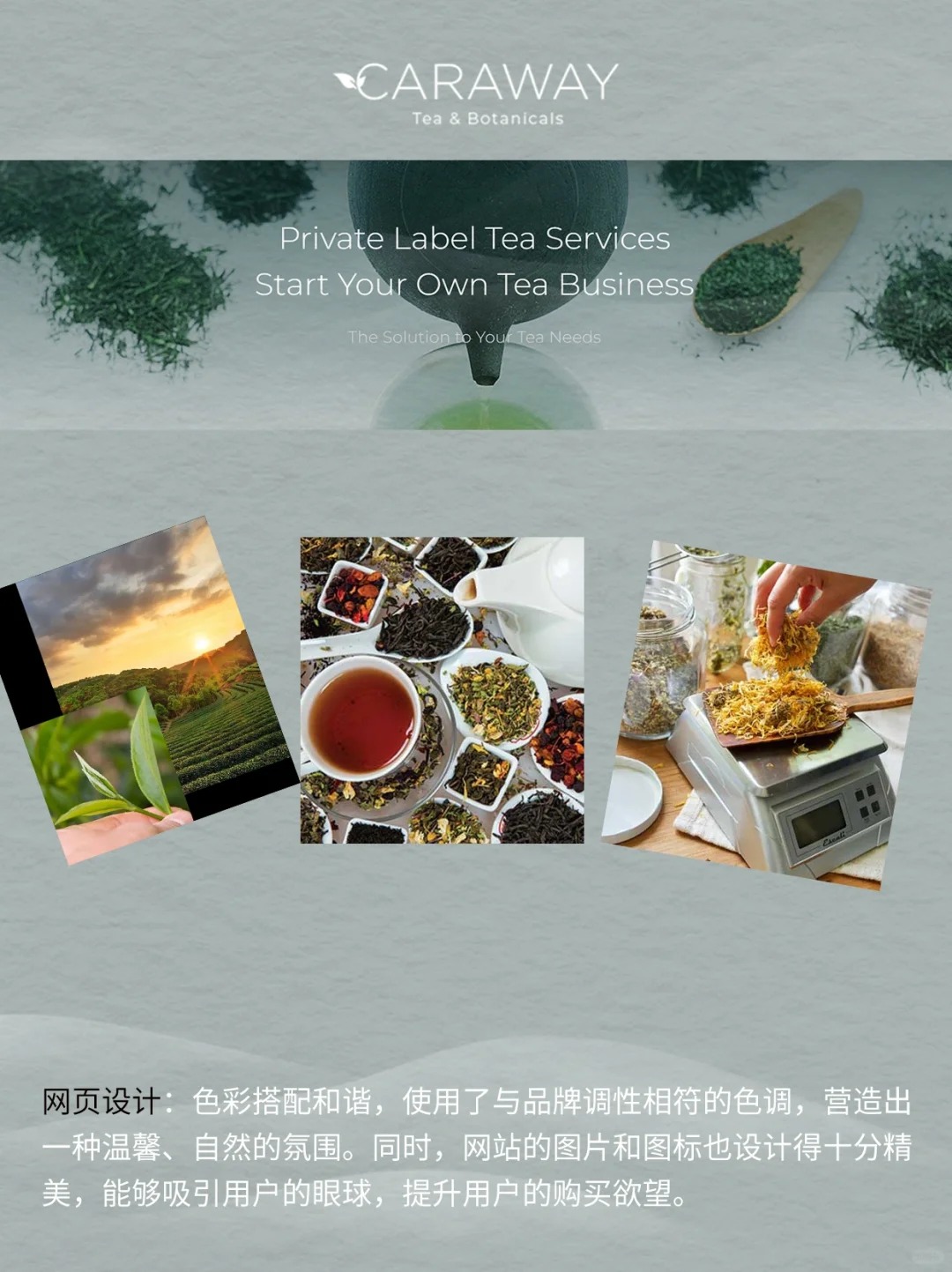 中国茶在国外不受欢迎?看他们如何称霸海外!配图9