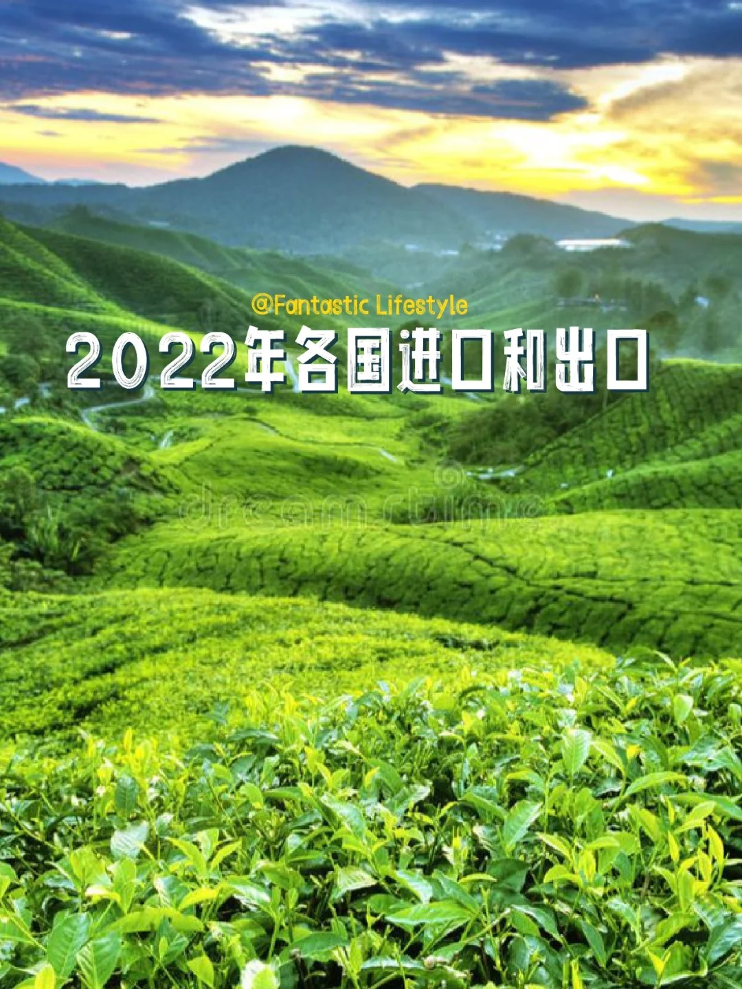 2022年各国进口和出口茶叶排行榜配图1